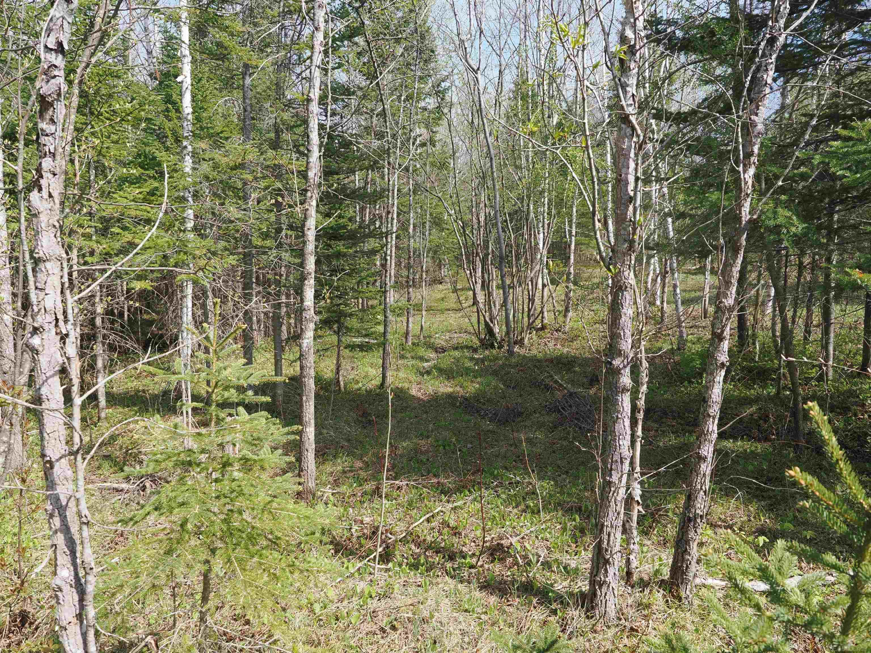 w15598 Hiawatha Trail, Gould City, MI 49838 — Photo 3