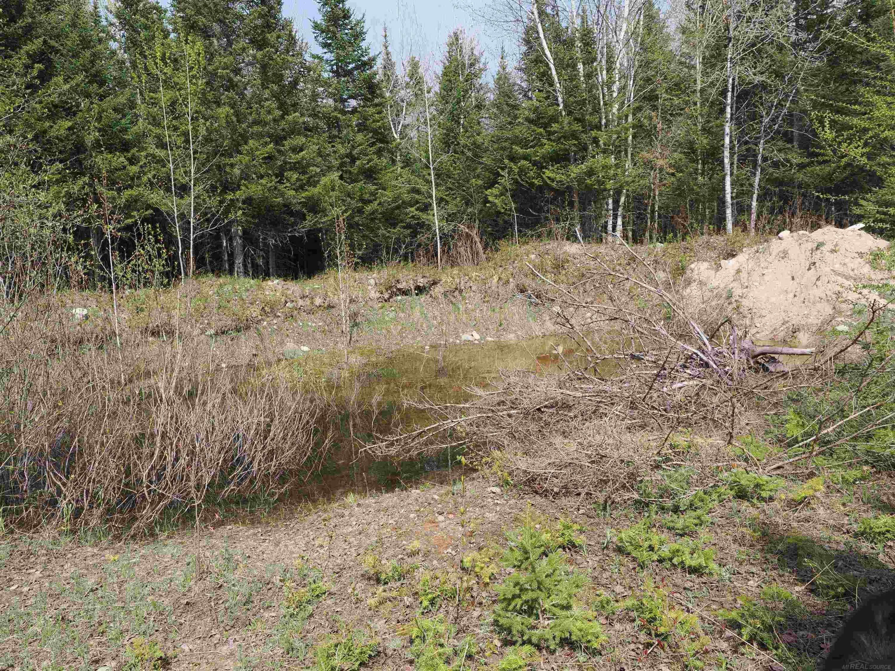 w15598 Hiawatha Trail, Gould City, MI 49838 — Photo 7