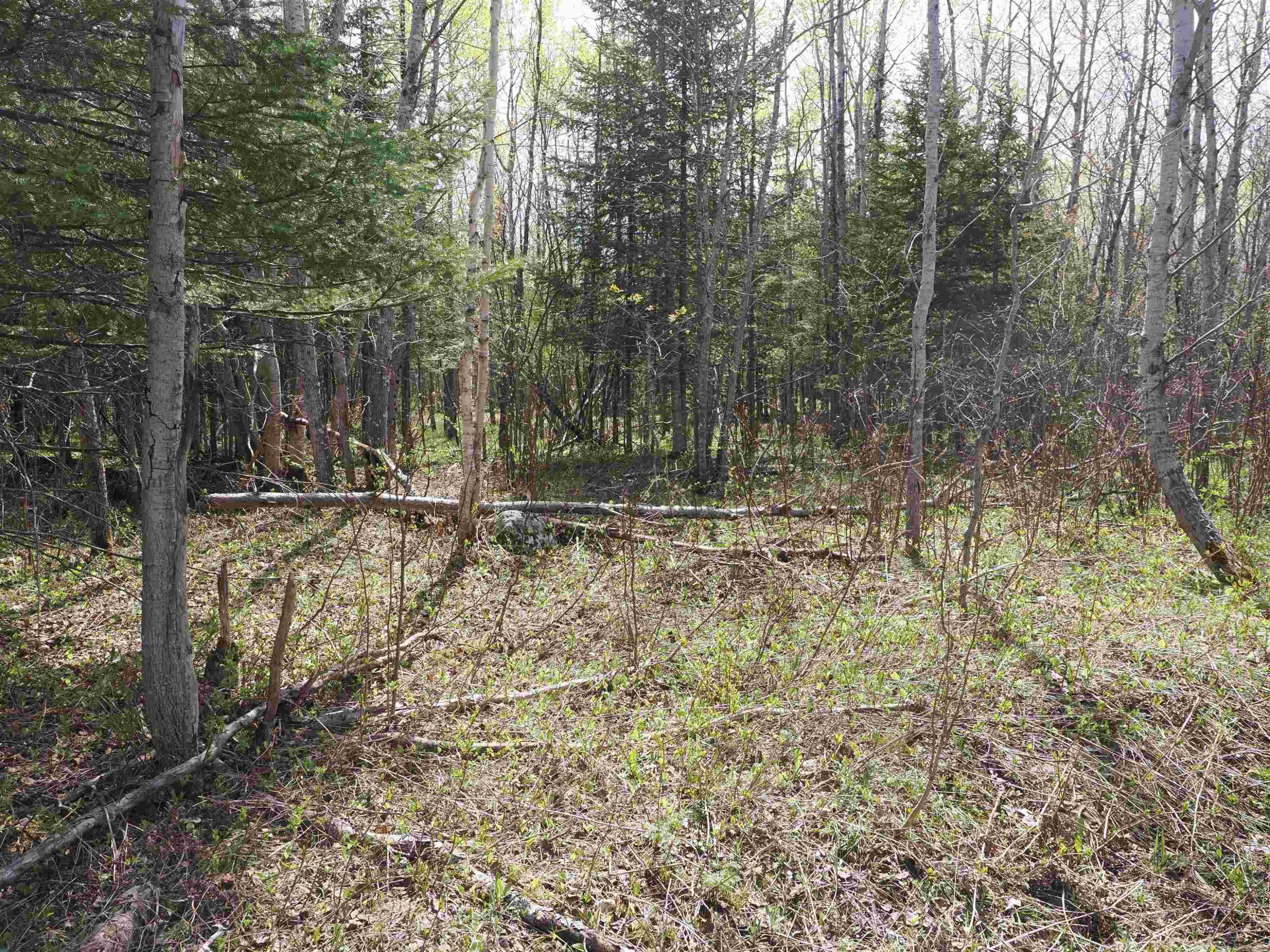 w15598 Hiawatha Trail, Gould City, MI 49838 — Photo 8