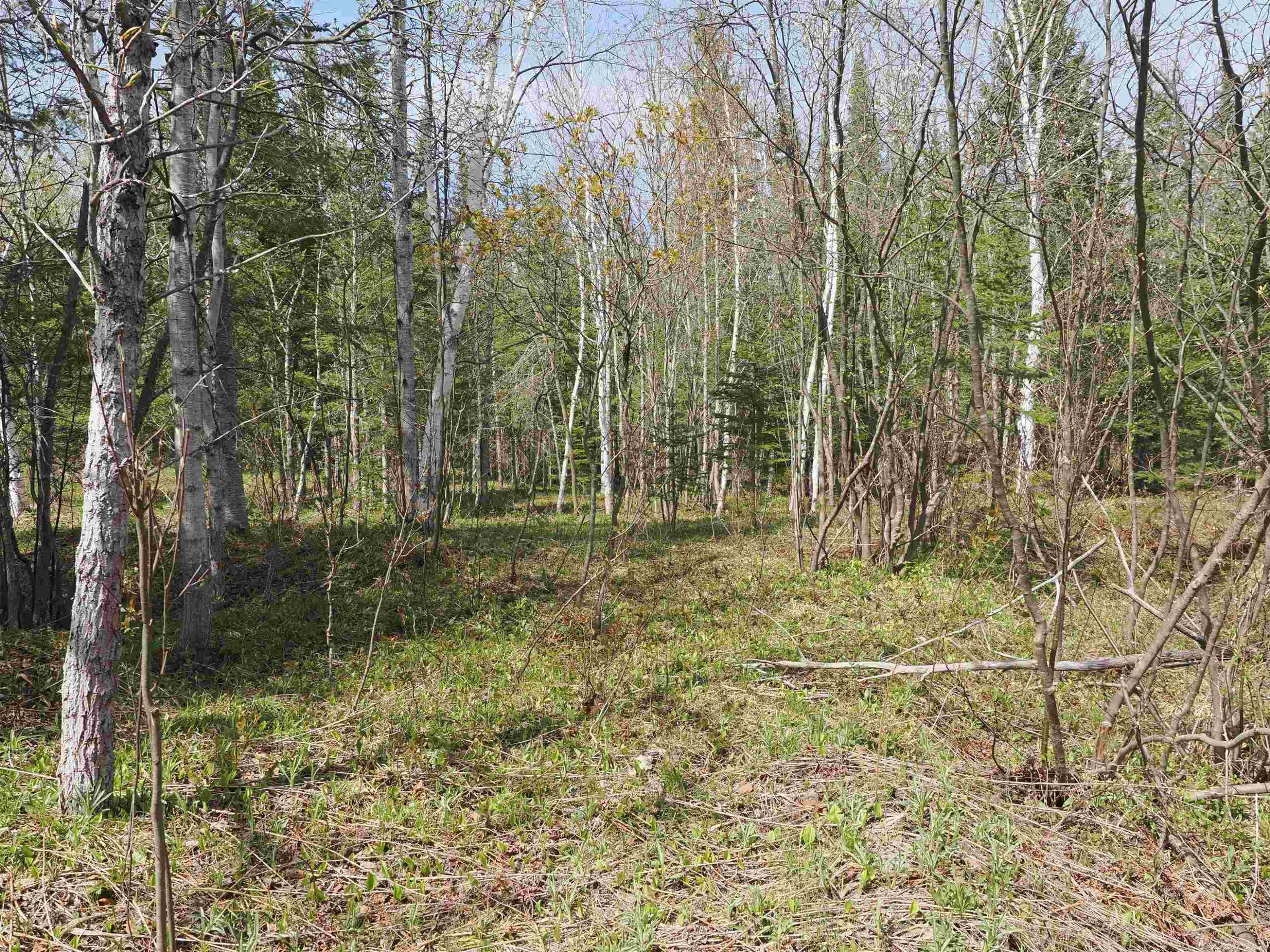 w15598 Hiawatha Trail, Gould City, MI 49838 — Photo 10
