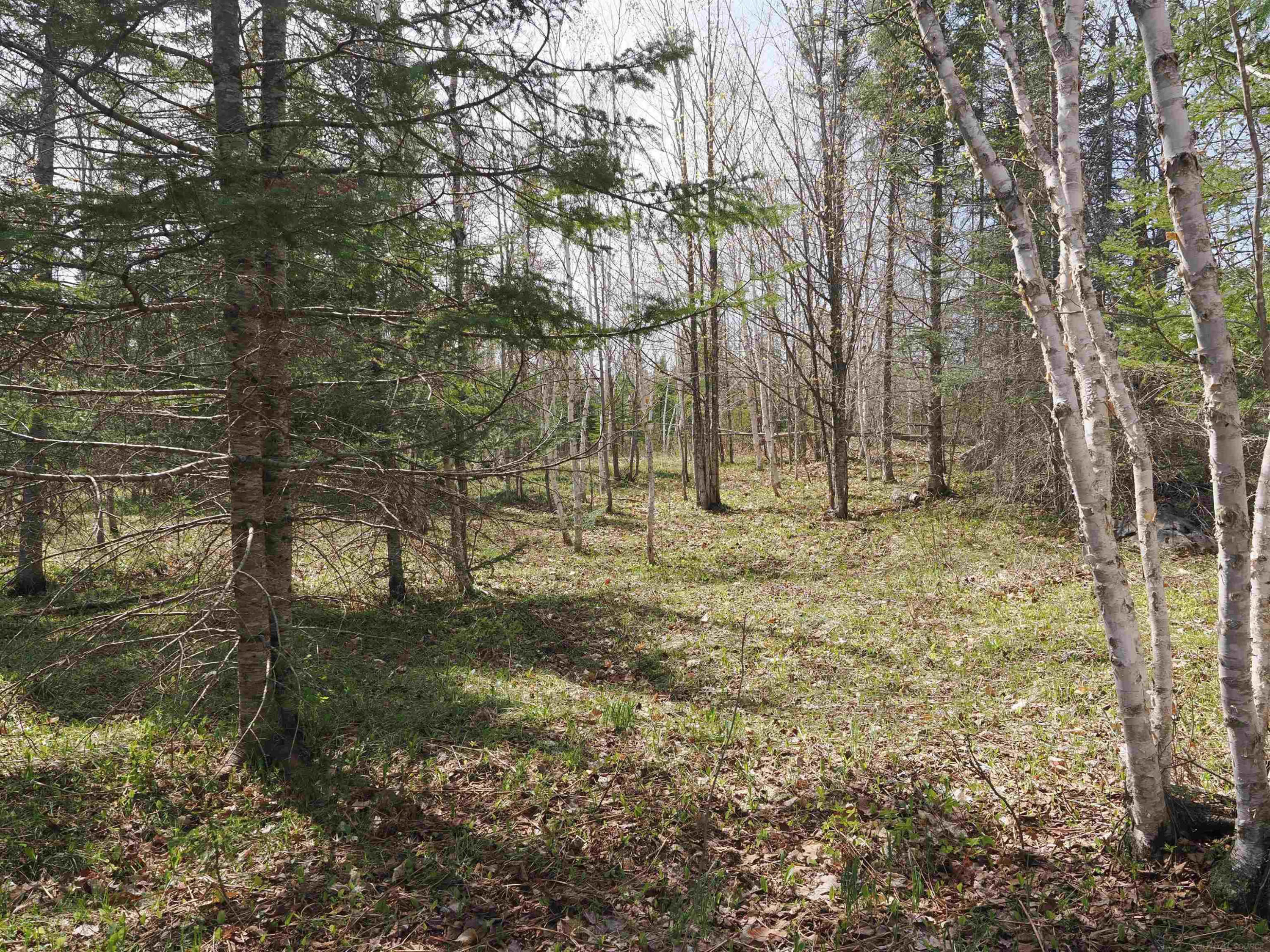 w15598 Hiawatha Trail, Gould City, MI 49838 — Photo 12