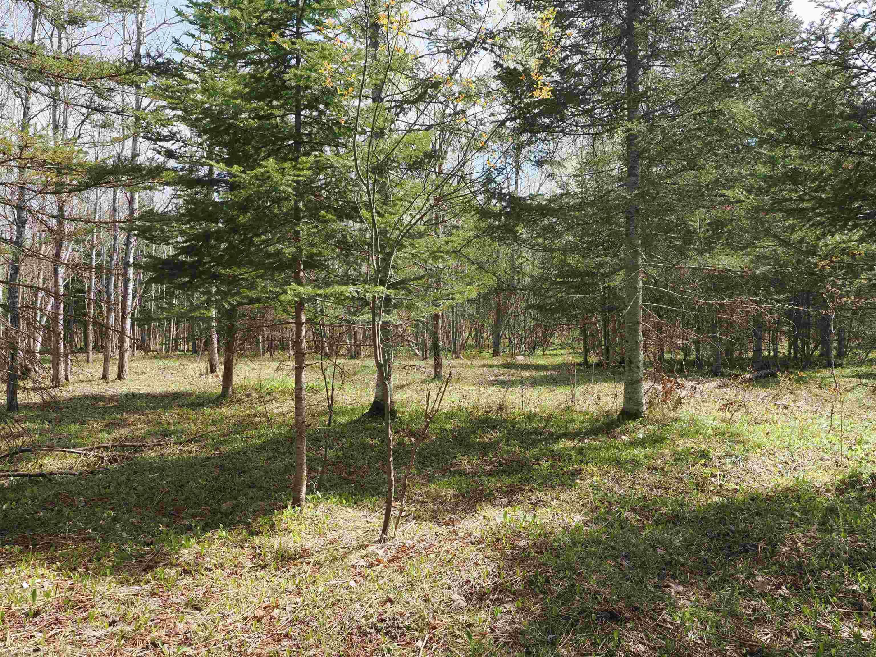w15598 Hiawatha Trail, Gould City, MI 49838 — Photo 13