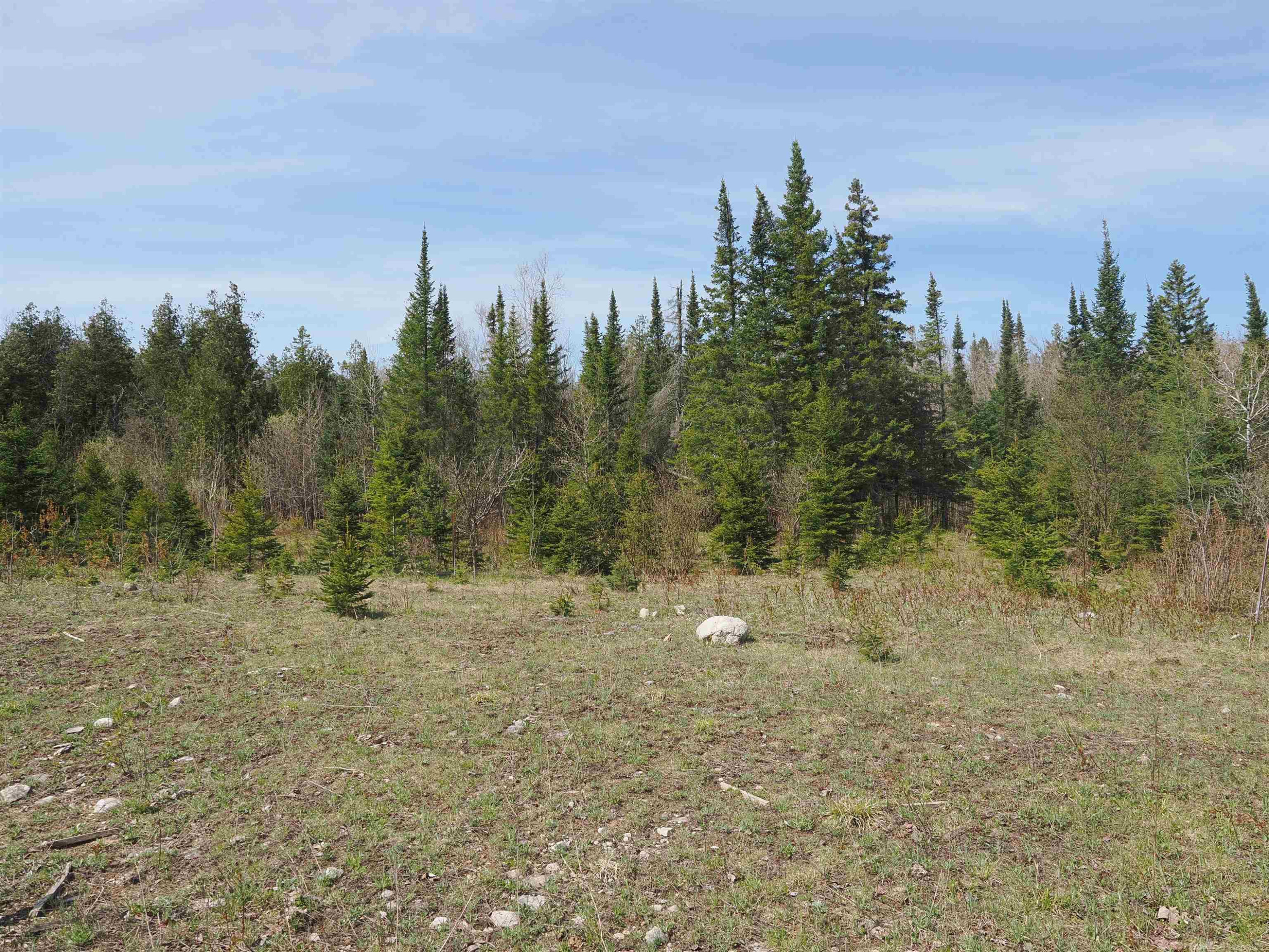 w15598 Hiawatha Trail, Gould City, MI 49838 — Photo 14