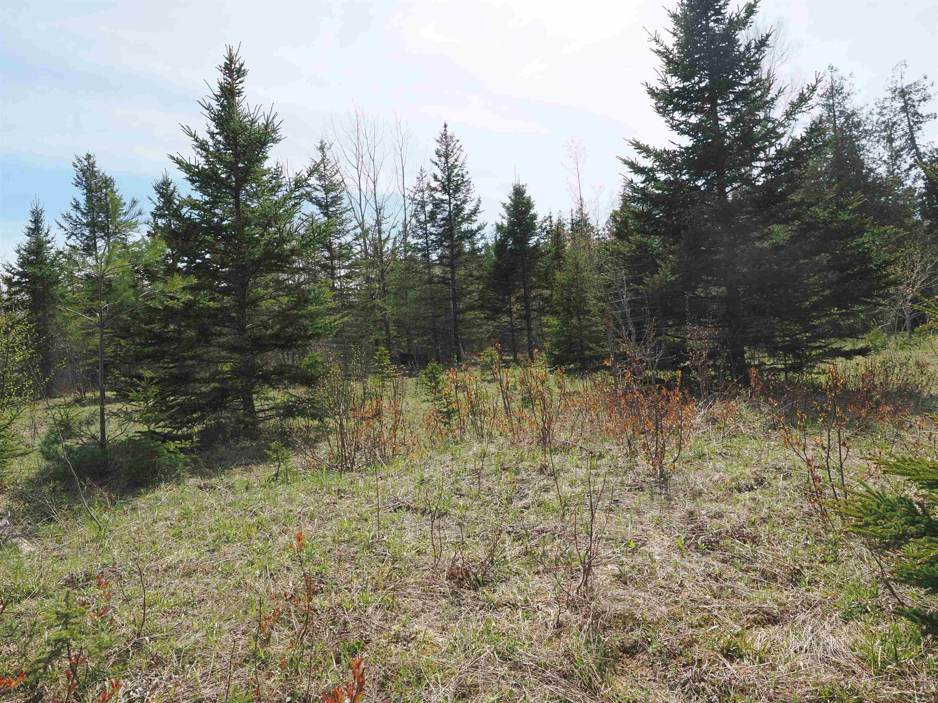 w15598 Hiawatha Trail, Gould City, MI 49838 — Photo 16