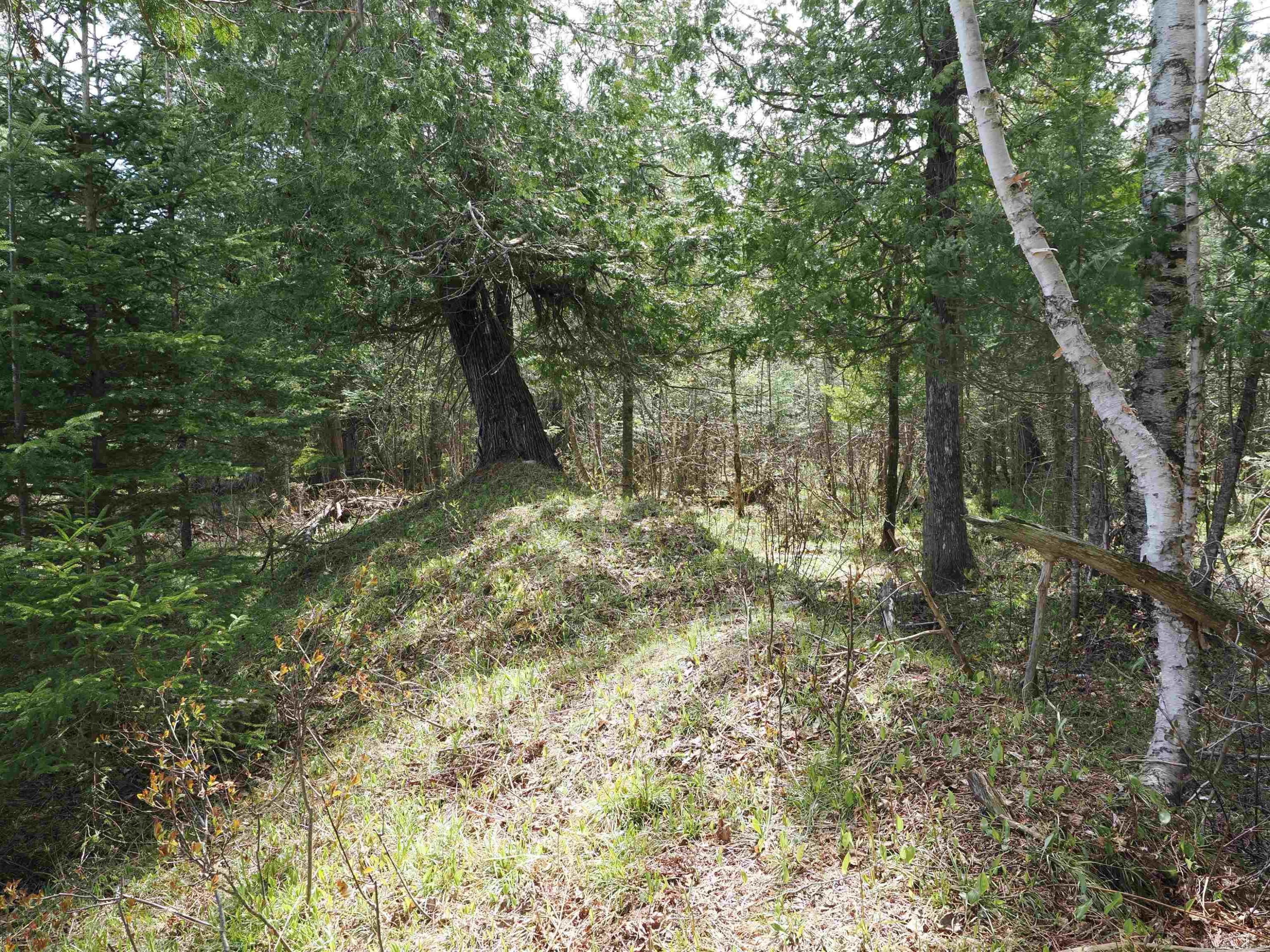 w15598 Hiawatha Trail, Gould City, MI 49838 — Photo 17