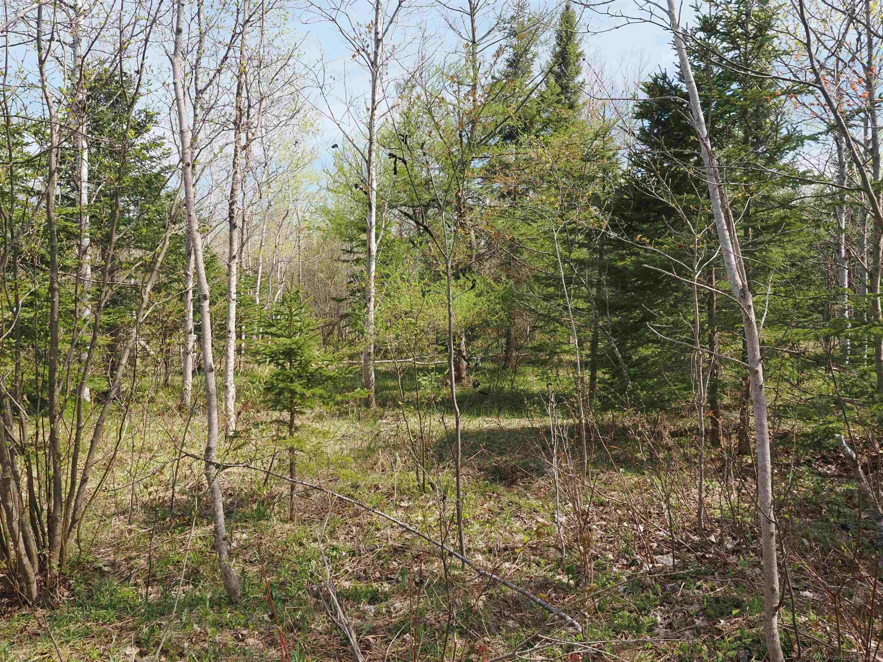 w15598 Hiawatha Trail, Gould City, MI 49838 — Photo 18