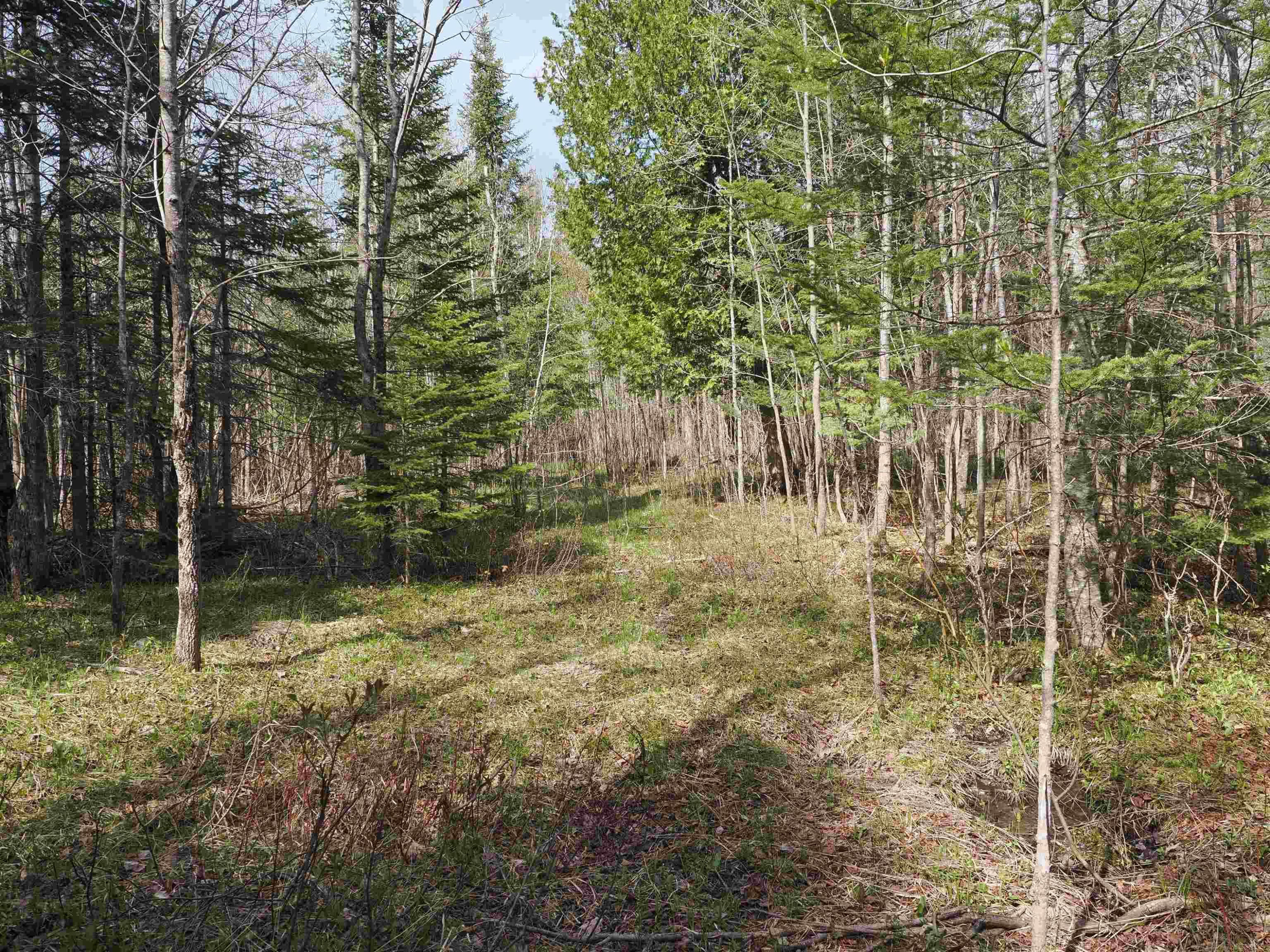 w15598 Hiawatha Trail, Gould City, MI 49838 — Photo 19