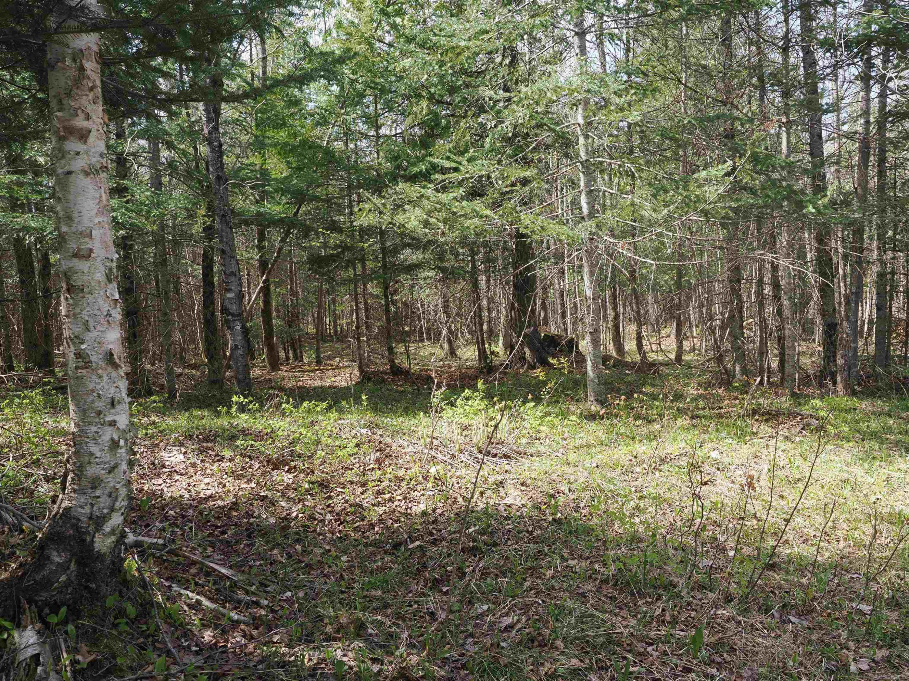 w15598 Hiawatha Trail, Gould City, MI 49838 — Photo 20
