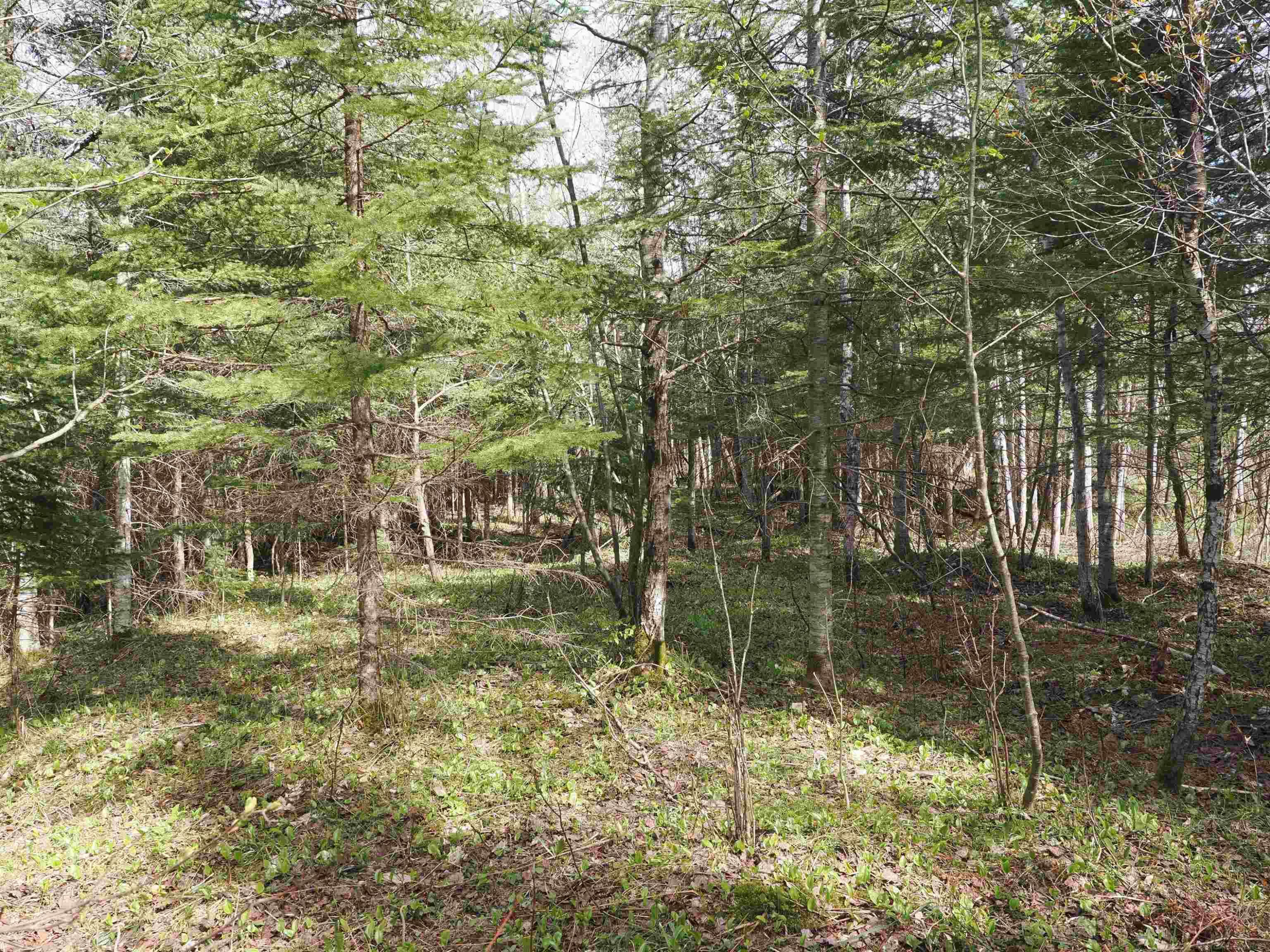 w15598 Hiawatha Trail, Gould City, MI 49838 — Photo 21