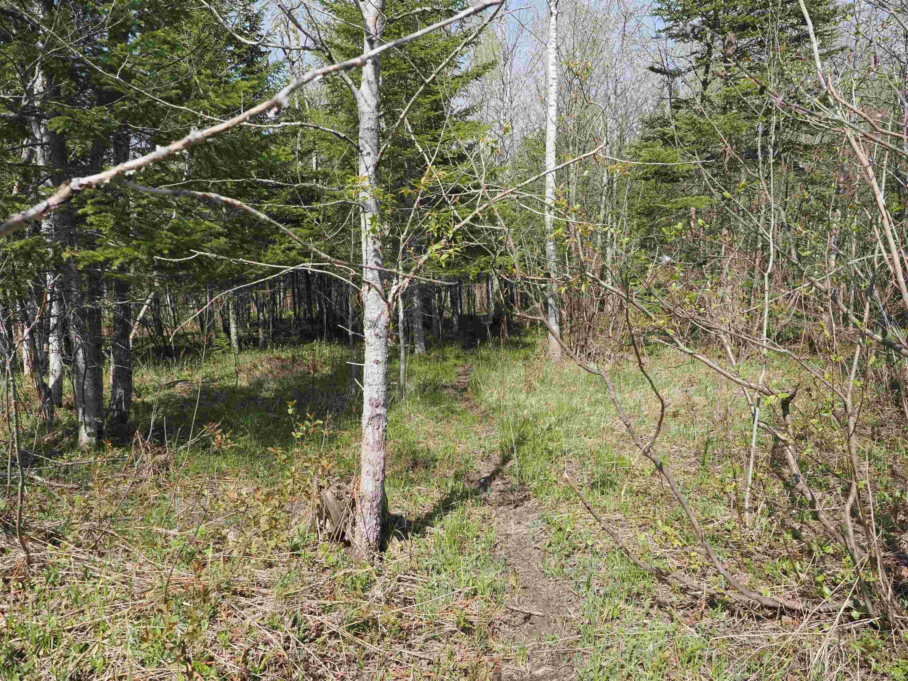 w15598 Hiawatha Trail, Gould City, MI 49838 — Photo 25