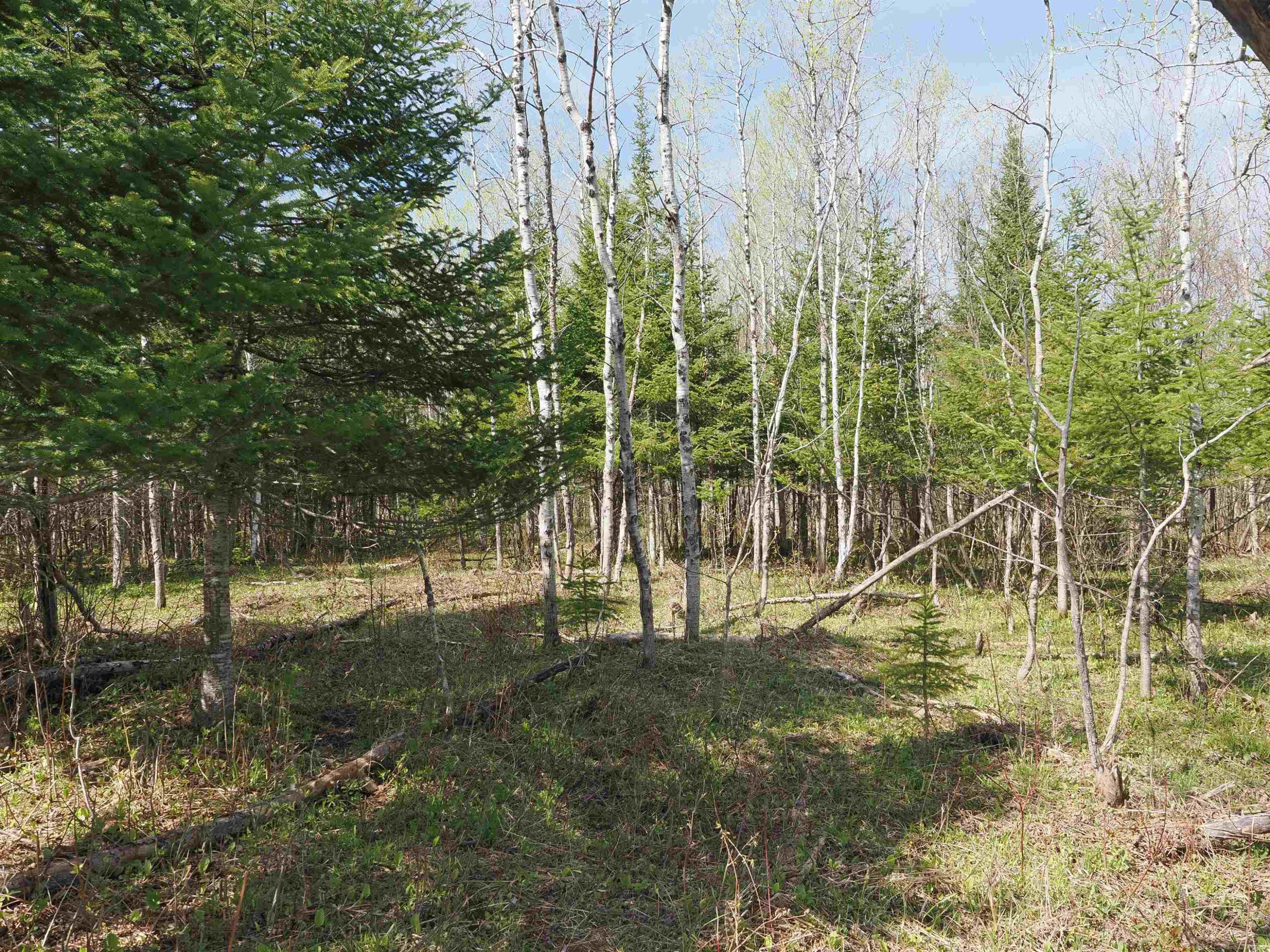 w15598 Hiawatha Trail, Gould City, MI 49838 — Photo 26