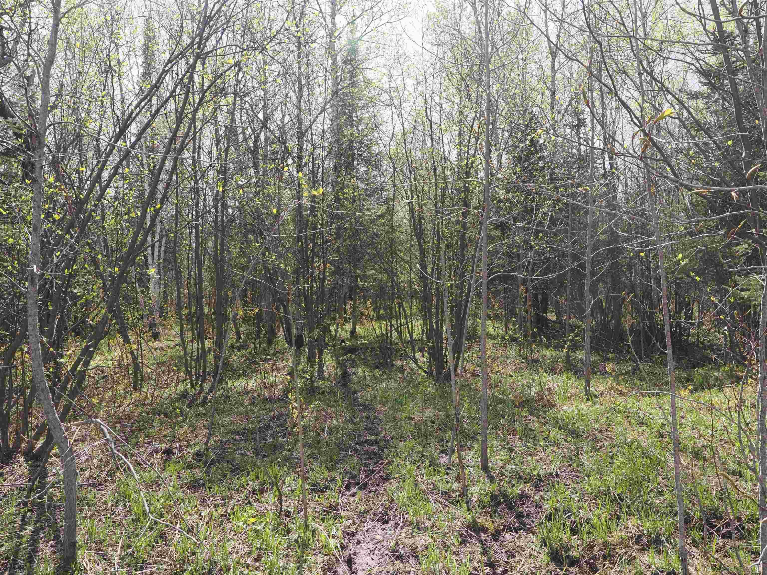 w15598 Hiawatha Trail, Gould City, MI 49838 — Photo 27
