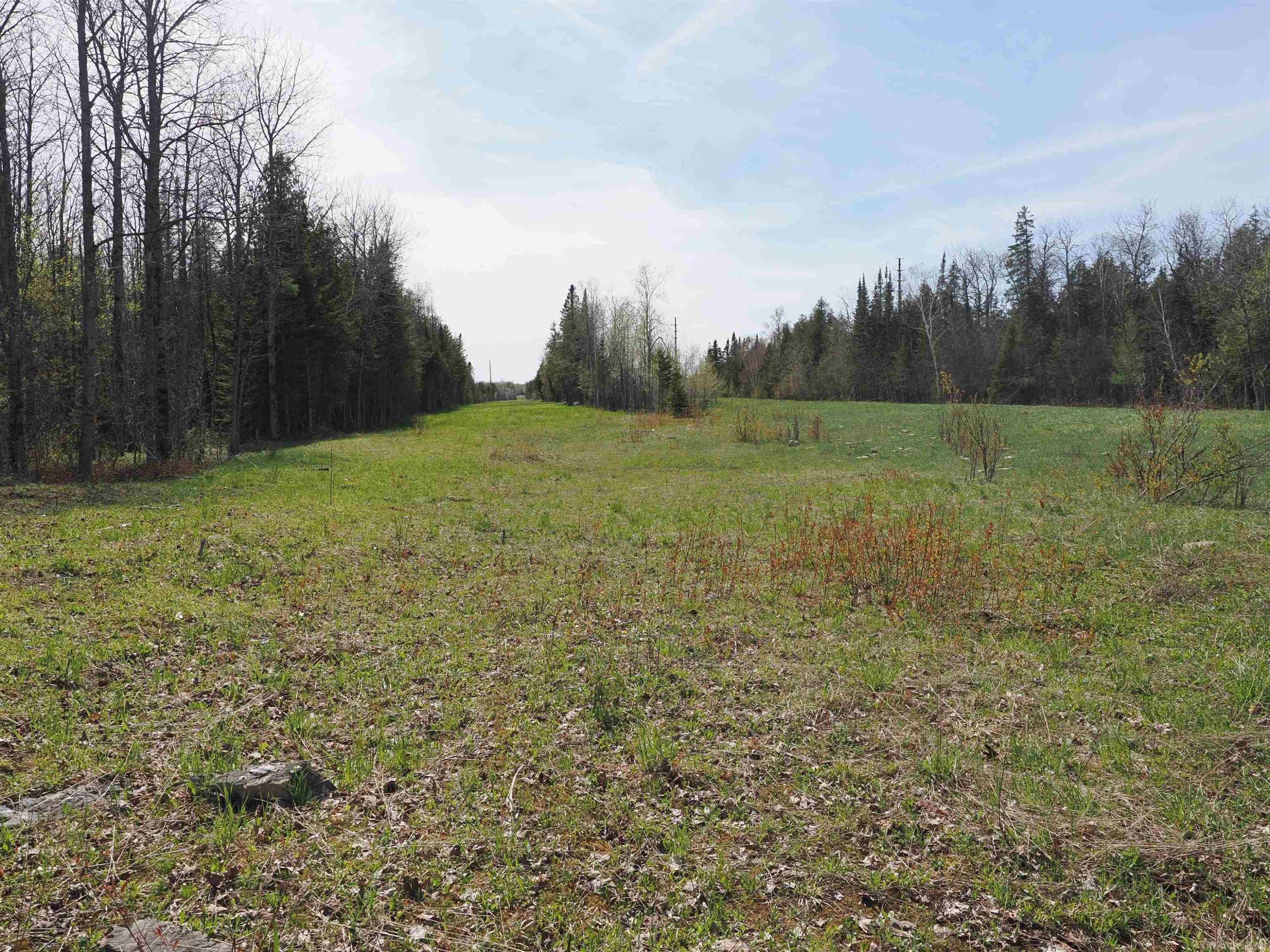 w15598 Hiawatha Trail, Gould City, MI 49838 — Photo 28