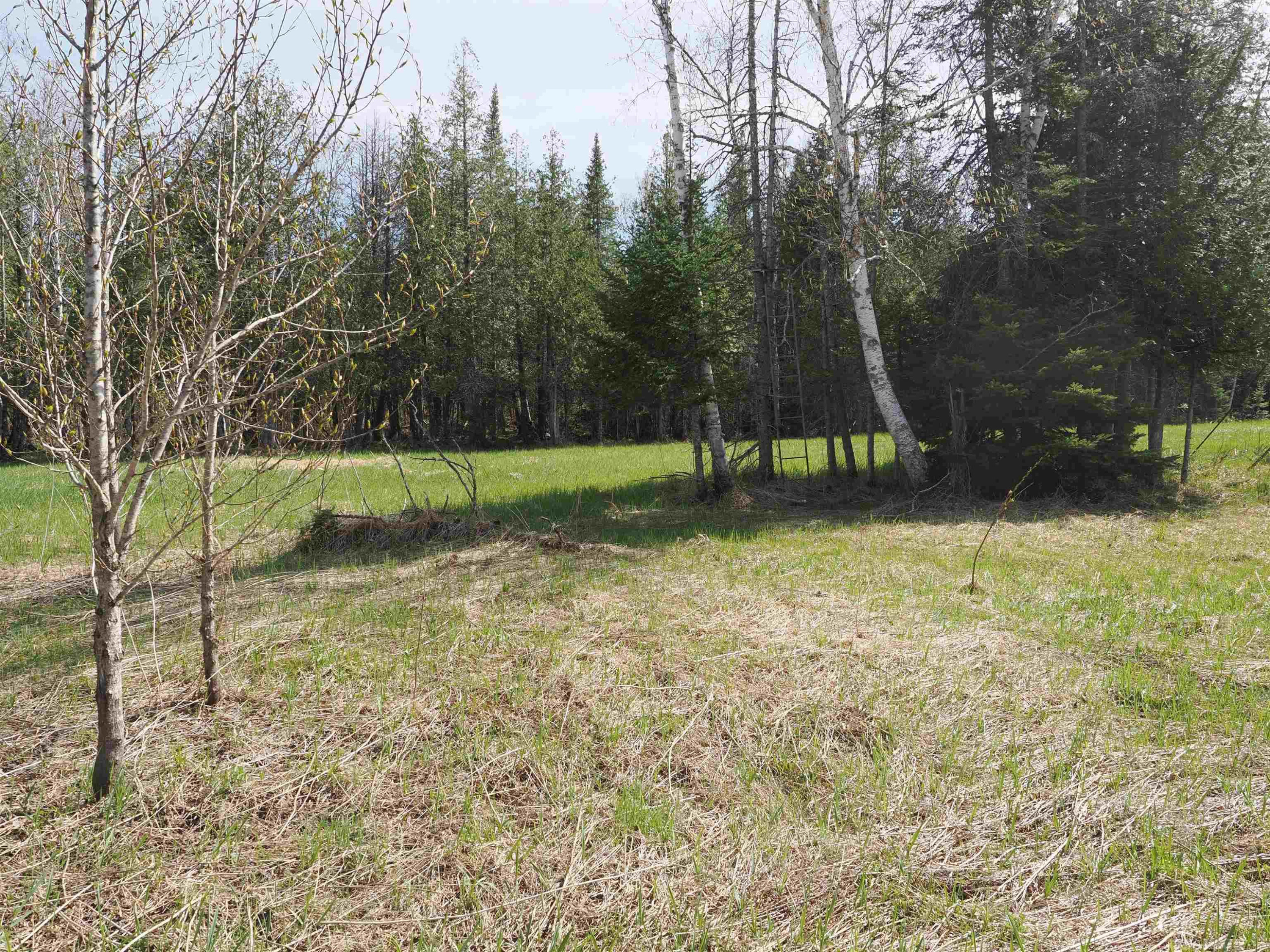 w15598 Hiawatha Trail, Gould City, MI 49838 — Photo 31