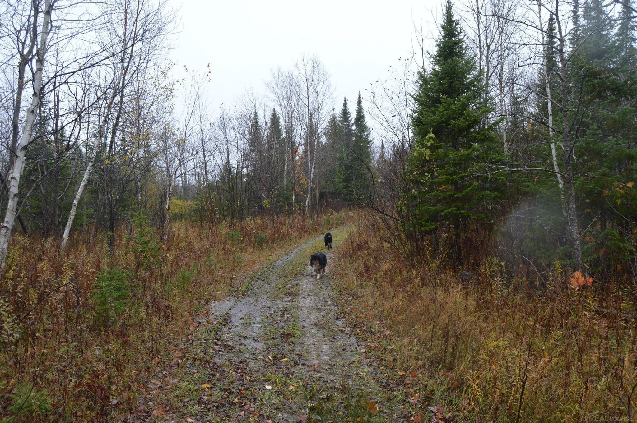 w15598 Hiawatha Trail, Gould City, MI 49838 — Photo 32