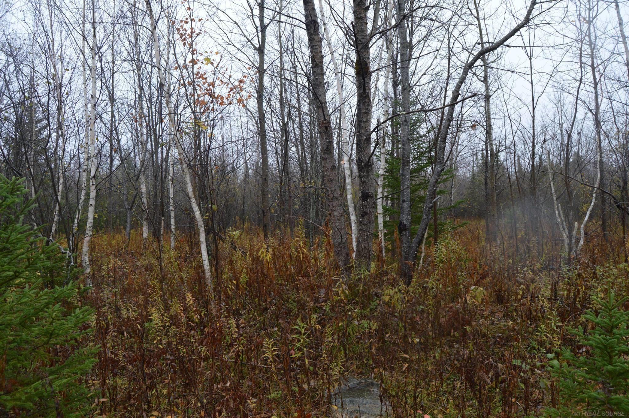 w15598 Hiawatha Trail, Gould City, MI 49838 — Photo 33