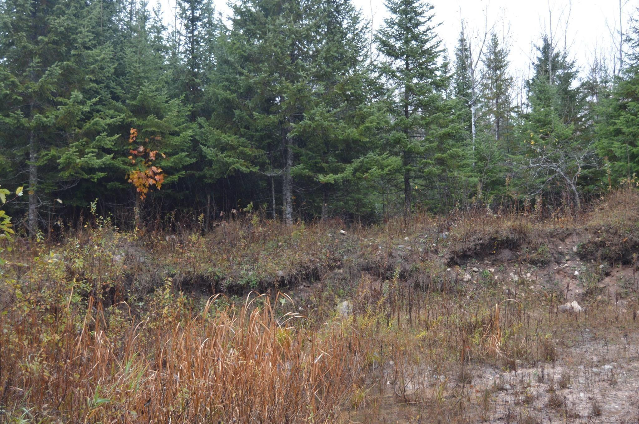 w15598 Hiawatha Trail, Gould City, MI 49838 — Photo 34