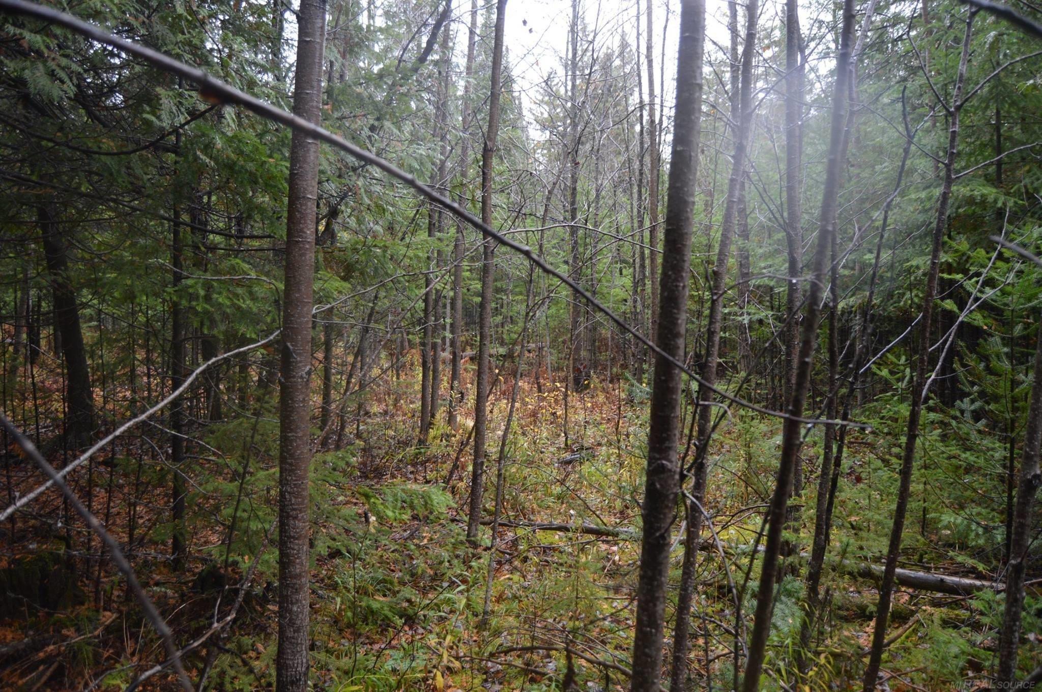 w15598 Hiawatha Trail, Gould City, MI 49838 — Photo 36