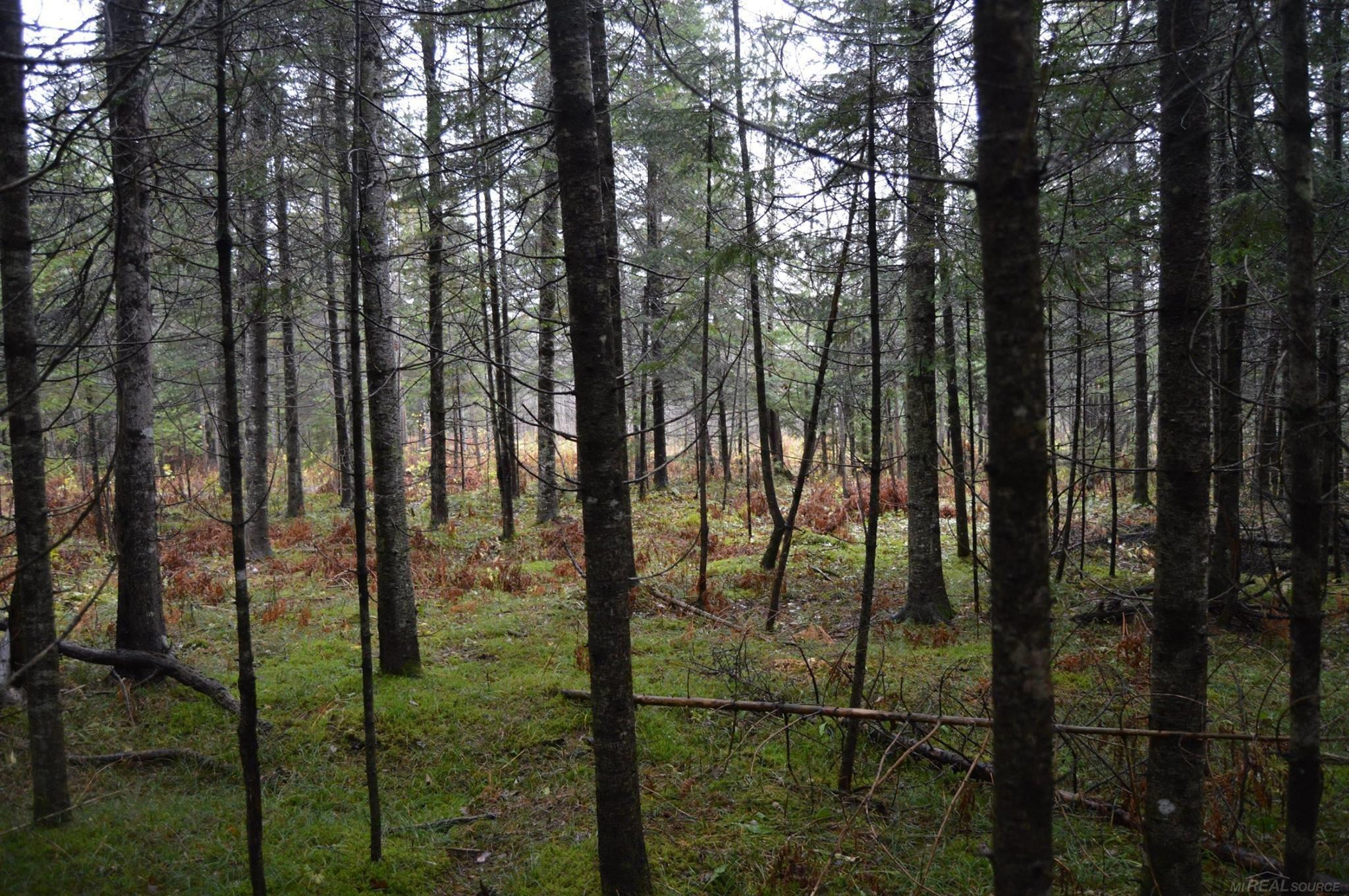 w15598 Hiawatha Trail, Gould City, MI 49838 — Photo 37