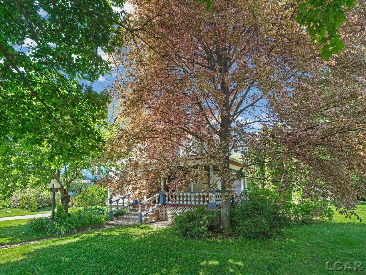 226 Giles Avenue, Blissfield, MI 49228 — Photo 3