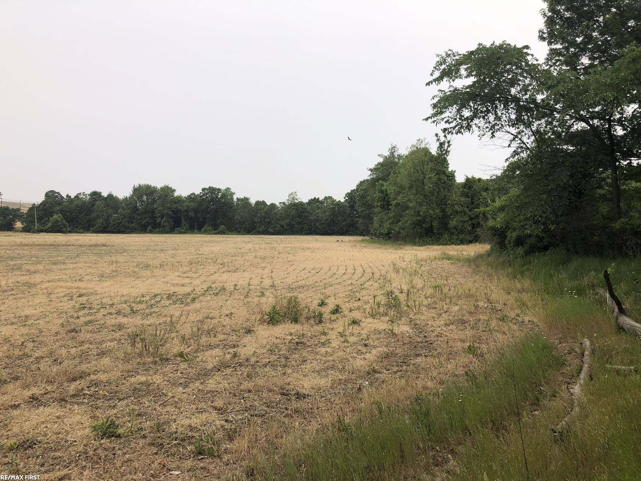 0 29 Mile Road, MI 48050 — Photo 7