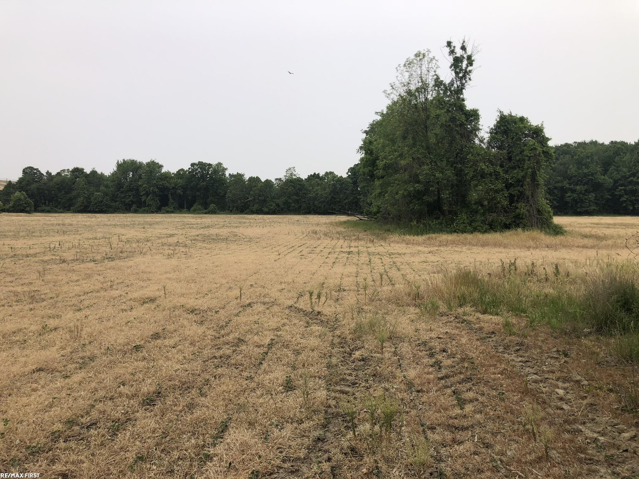 0 29 Mile Road, MI 48050 — Photo 10