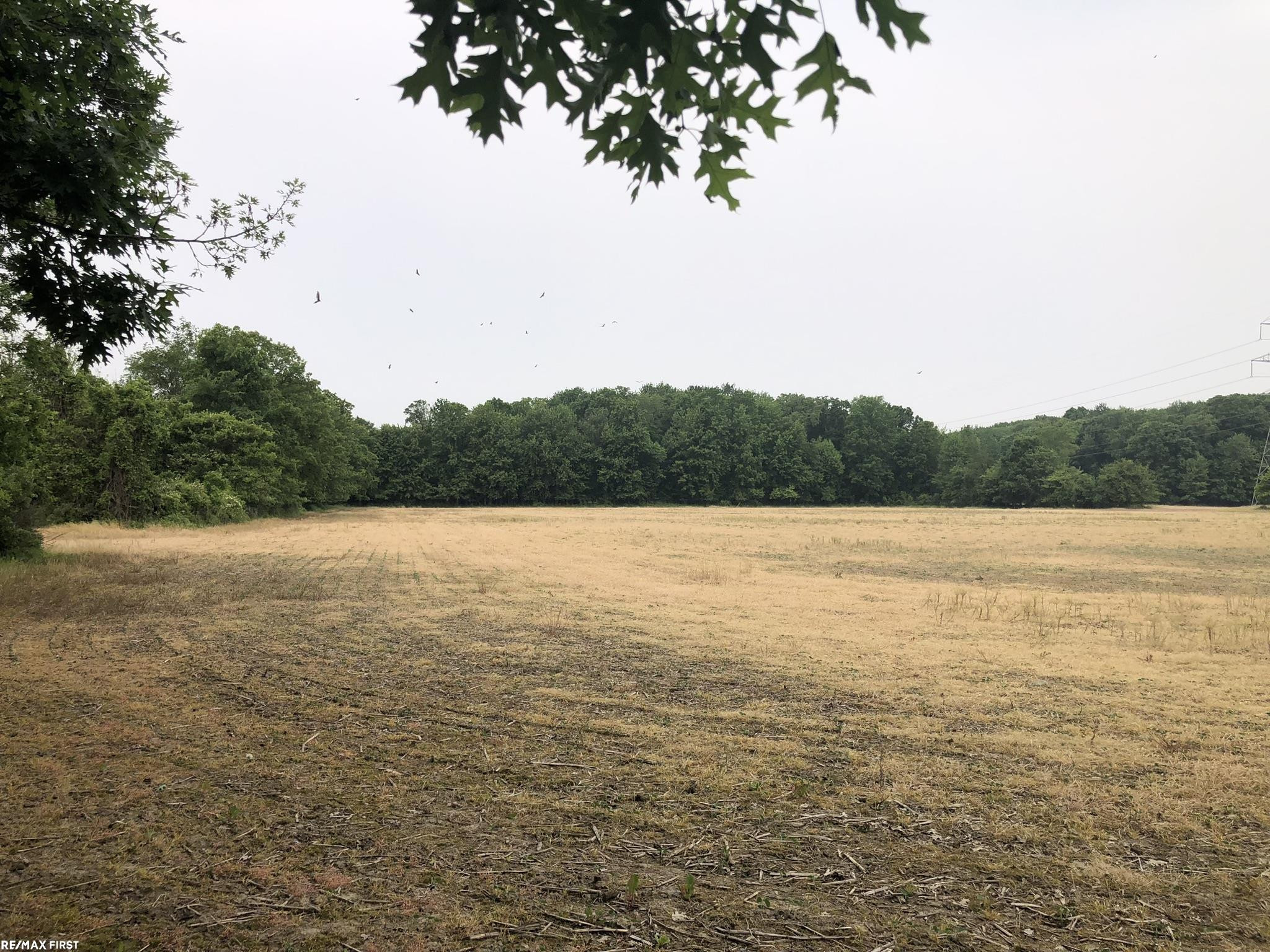 0 29 Mile Road, MI 48050 — Photo 13