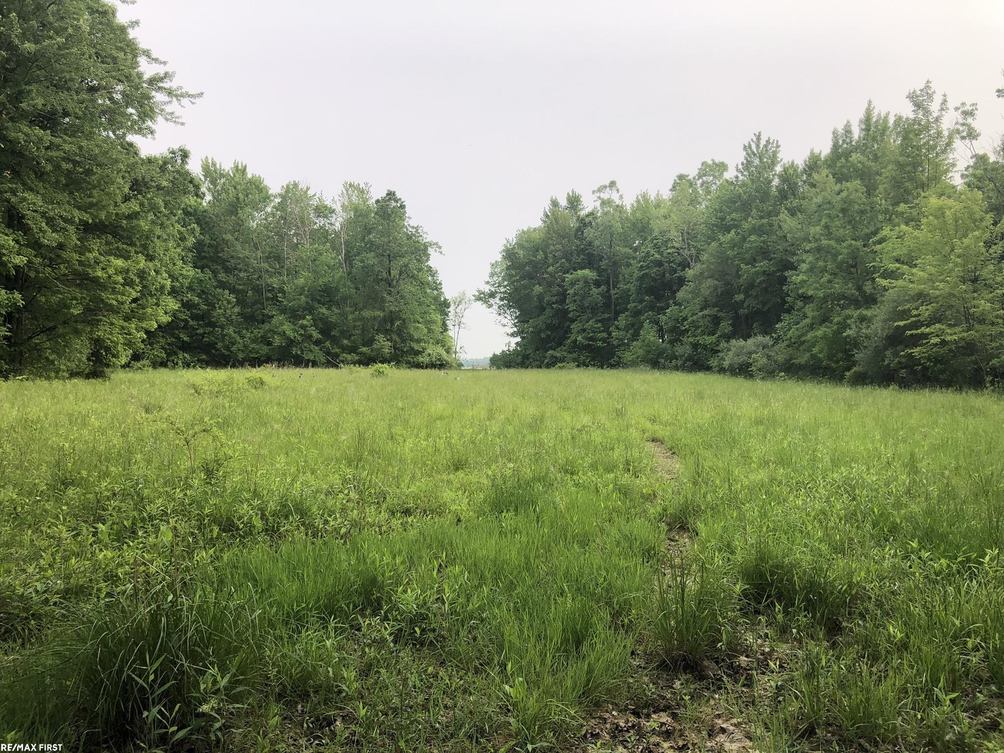 0 29 Mile Road, MI 48050 — Photo 24