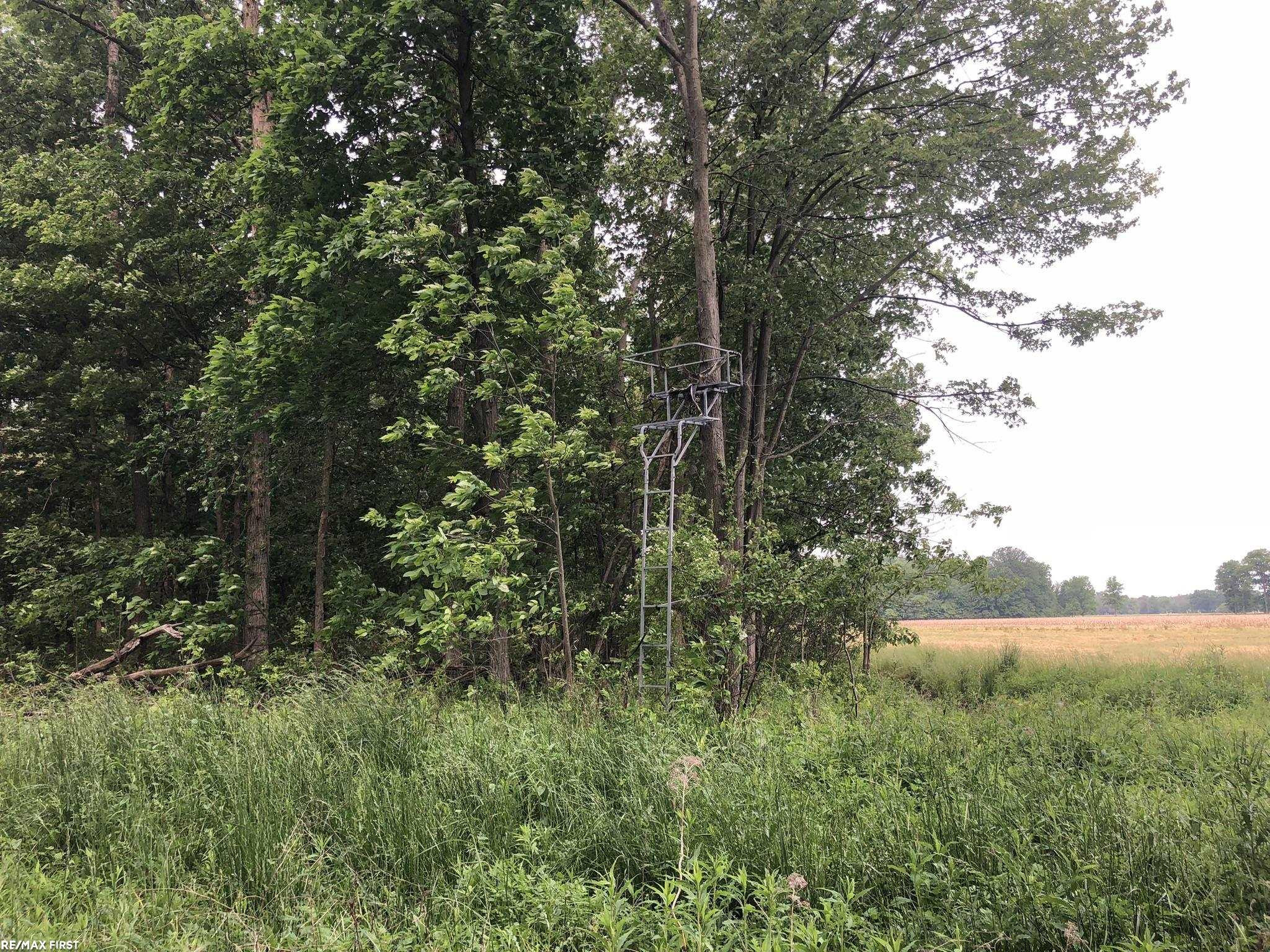 0 29 Mile Road, MI 48050 — Photo 29