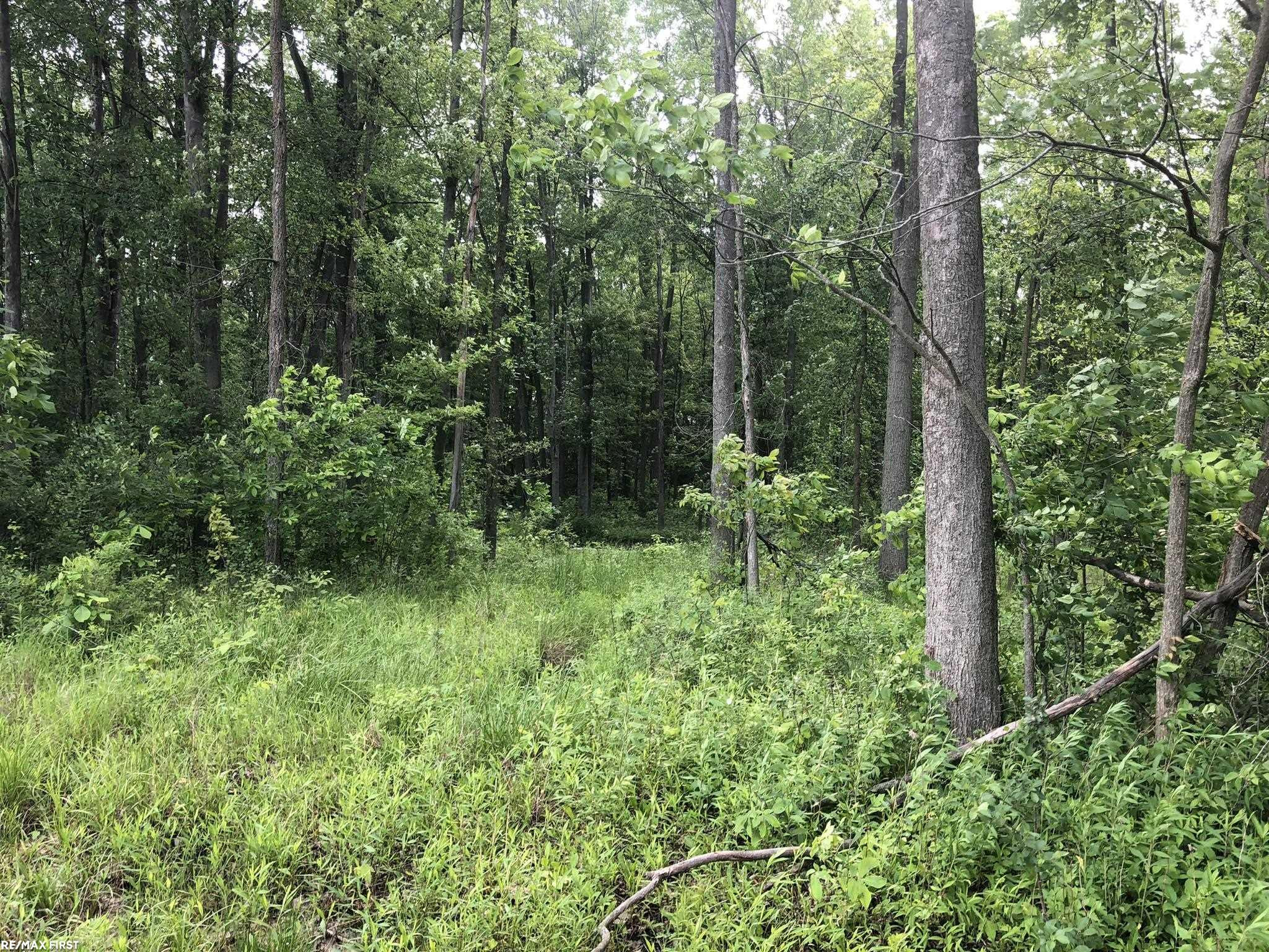 0 29 Mile Road, MI 48050 — Photo 30