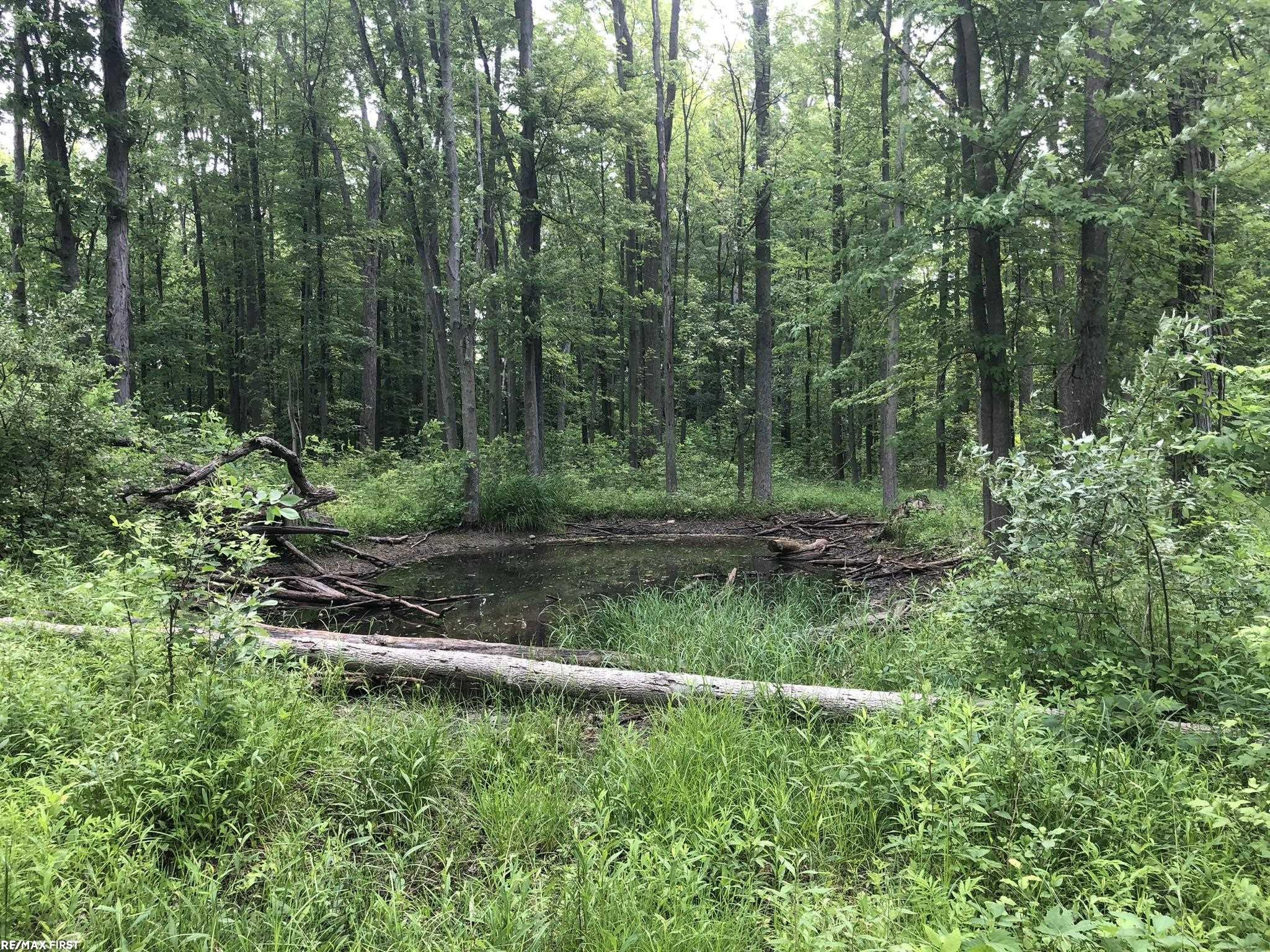 0 29 Mile Road, MI 48050 — Photo 31