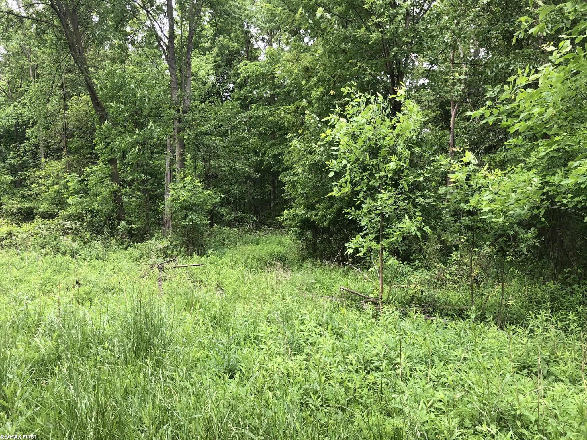 0 29 Mile Road, MI 48050 — Photo 35