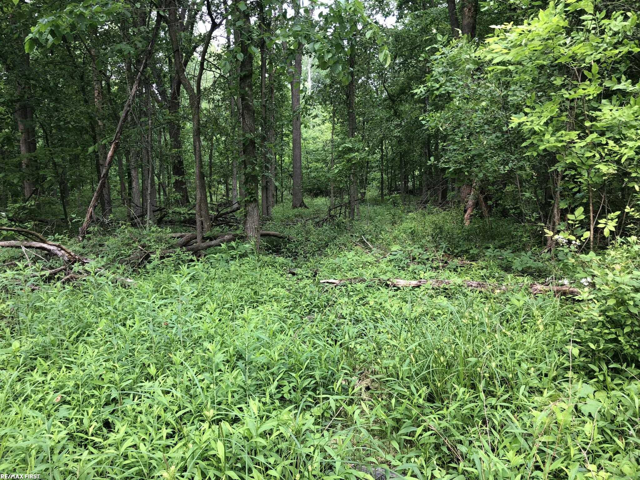 0 29 Mile Road, MI 48050 — Photo 36