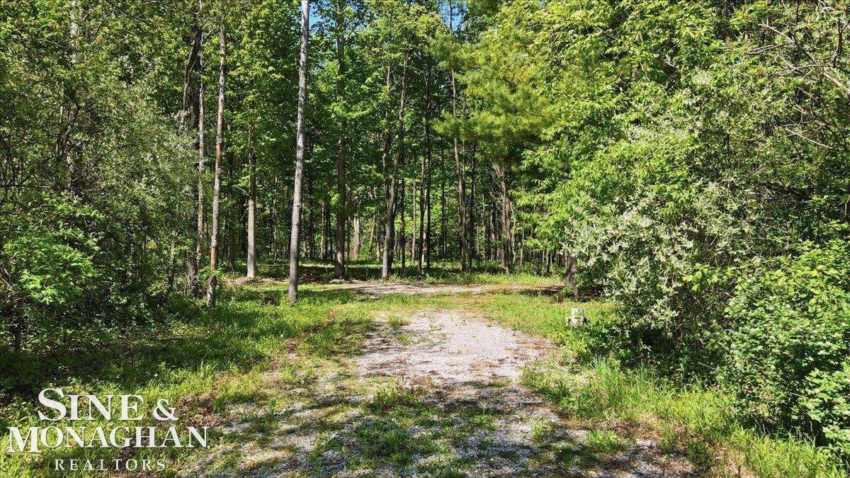 VL S Bartlett Road, MI 48079 — Photo 12