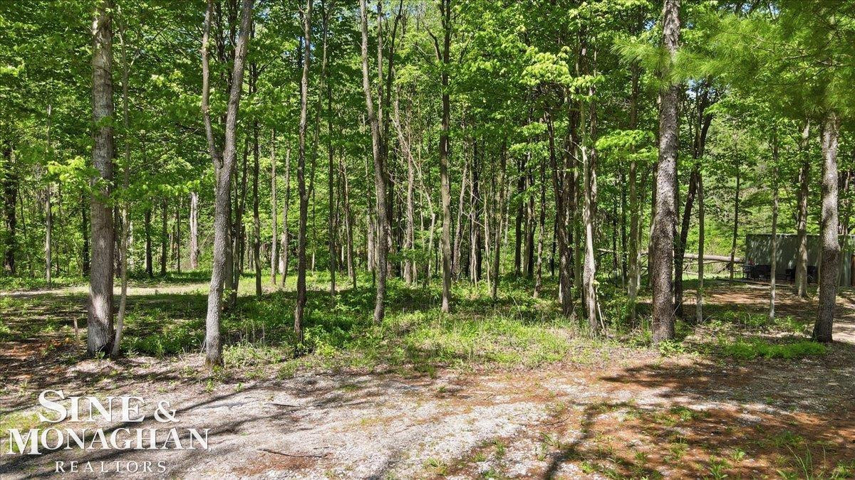 VL S Bartlett Road, MI 48079 — Photo 13