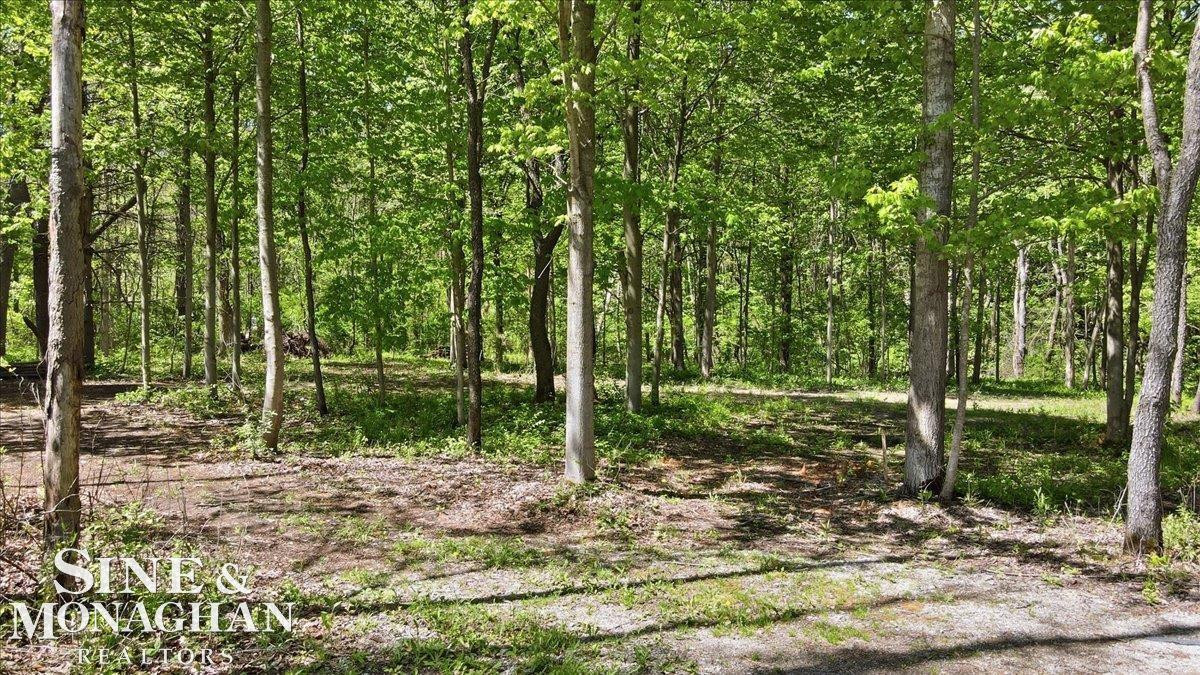 VL S Bartlett Road, MI 48079 — Photo 14