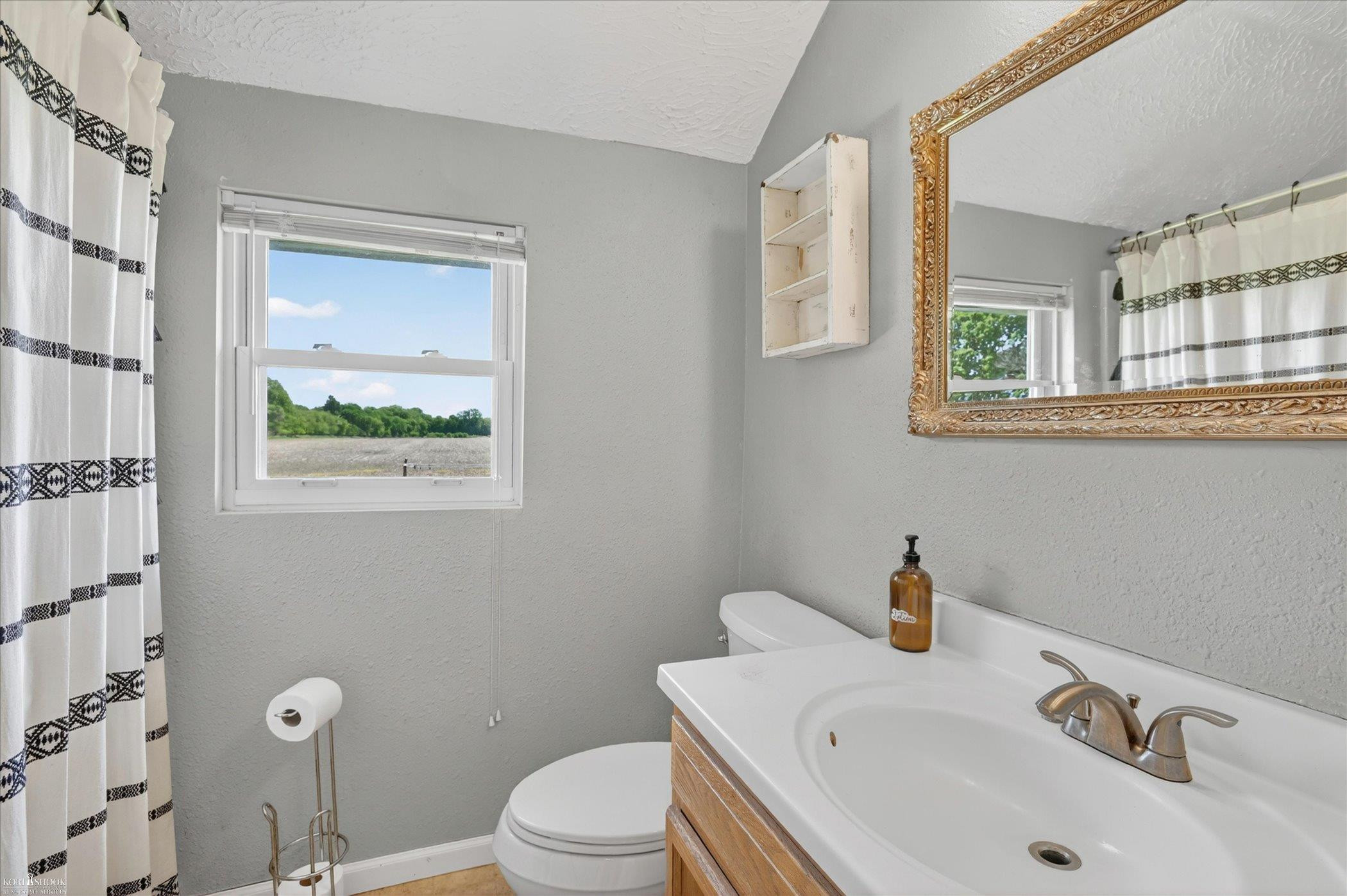 3705 Shaftsburg Road, Laingsburg, MI 48848 — Photo 20