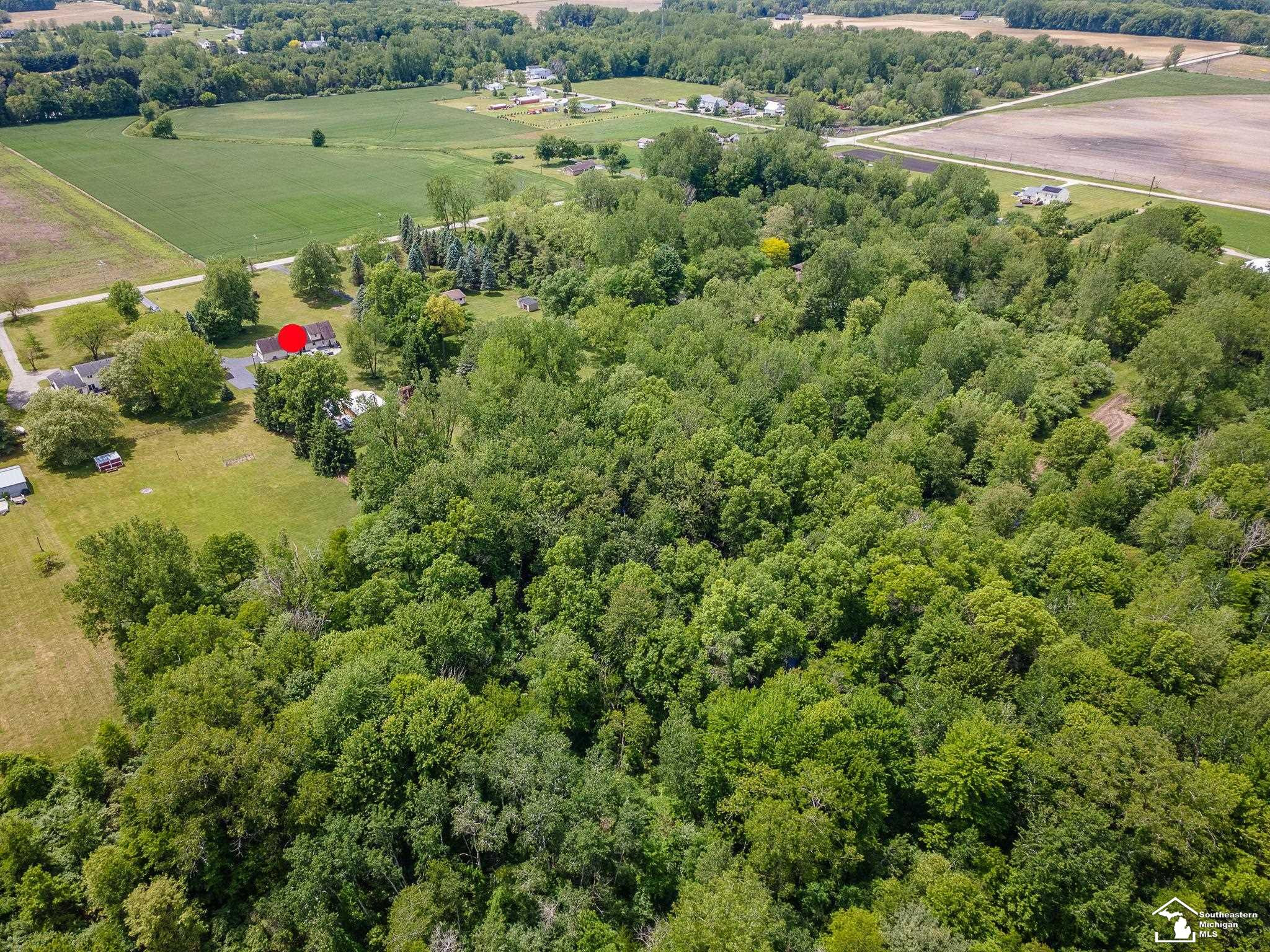 14060 Todd Road, Petersburg, MI 49270 — Photo 46