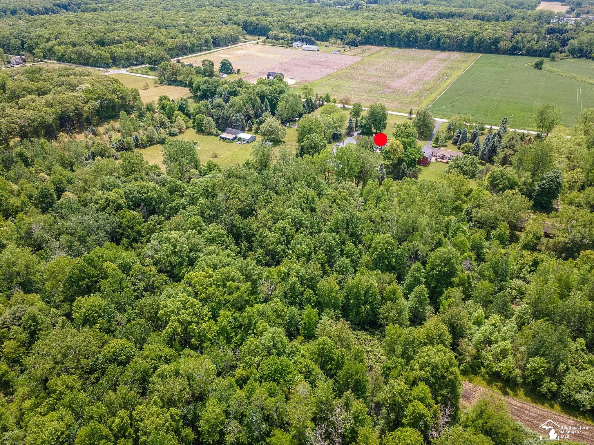 14060 Todd Road, Petersburg, MI 49270 — Photo 47