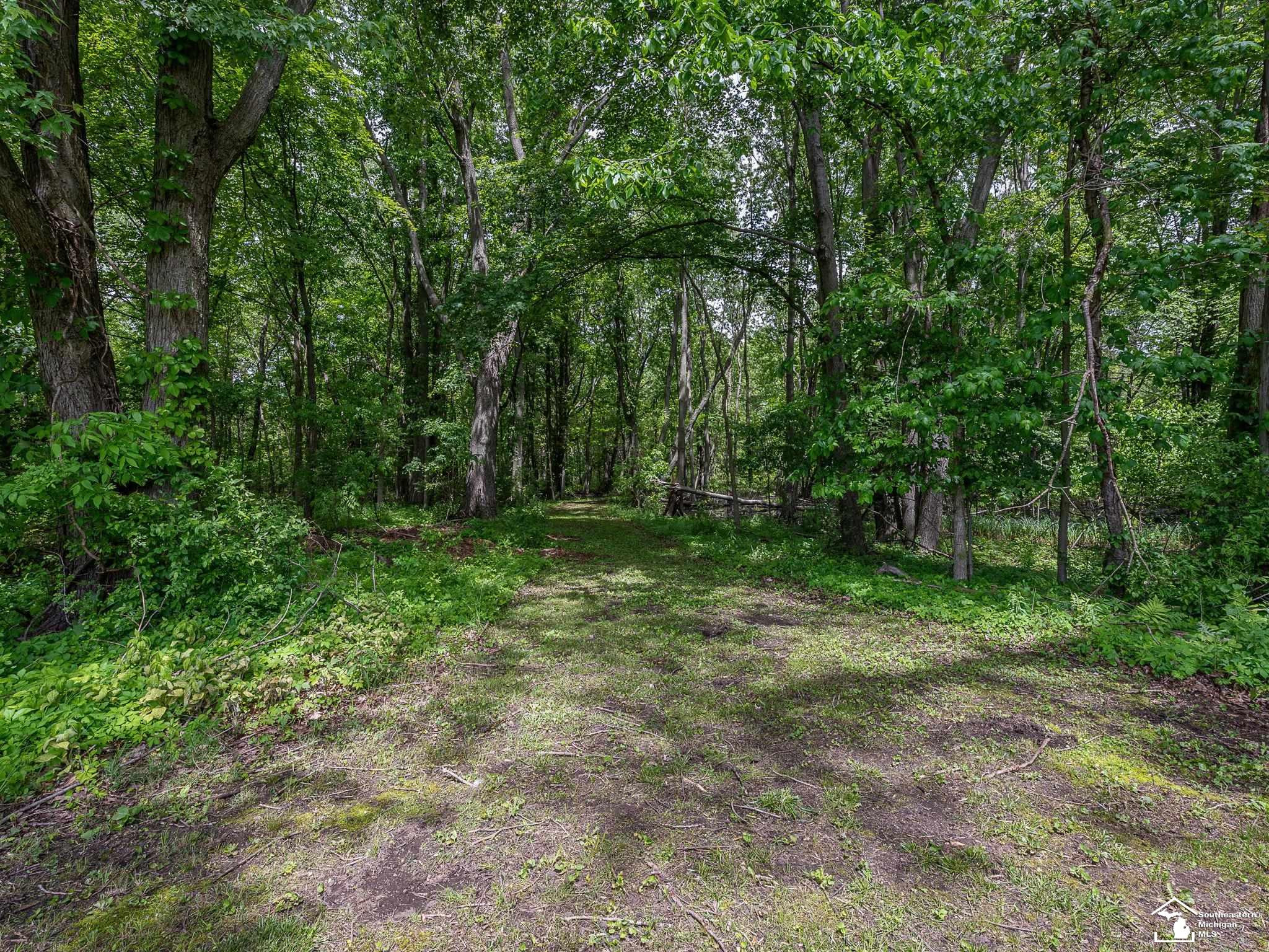 14060 Todd Road, Petersburg, MI 49270 — Photo 48