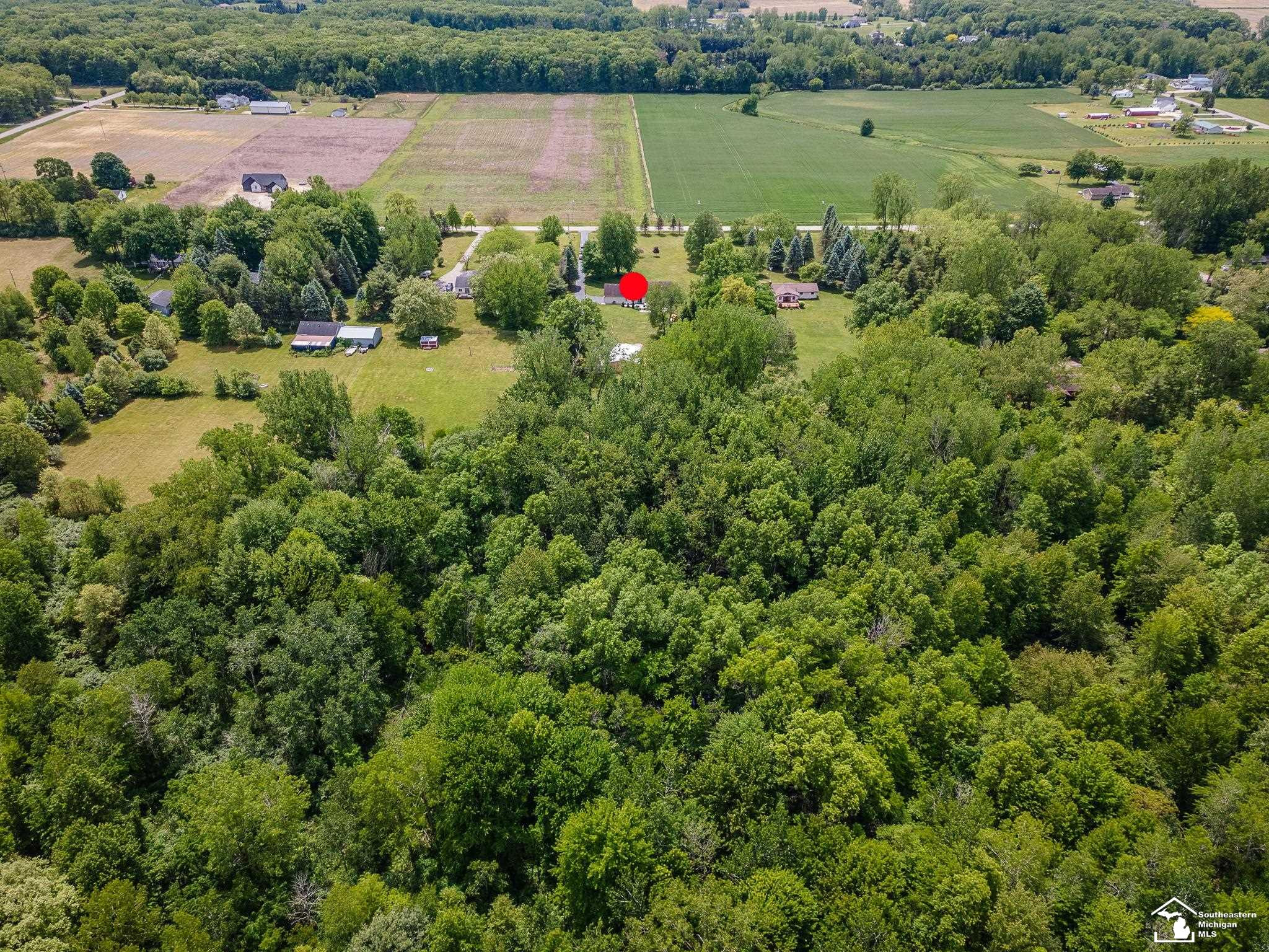 14060 Todd Road, Petersburg, MI 49270 — Photo 4