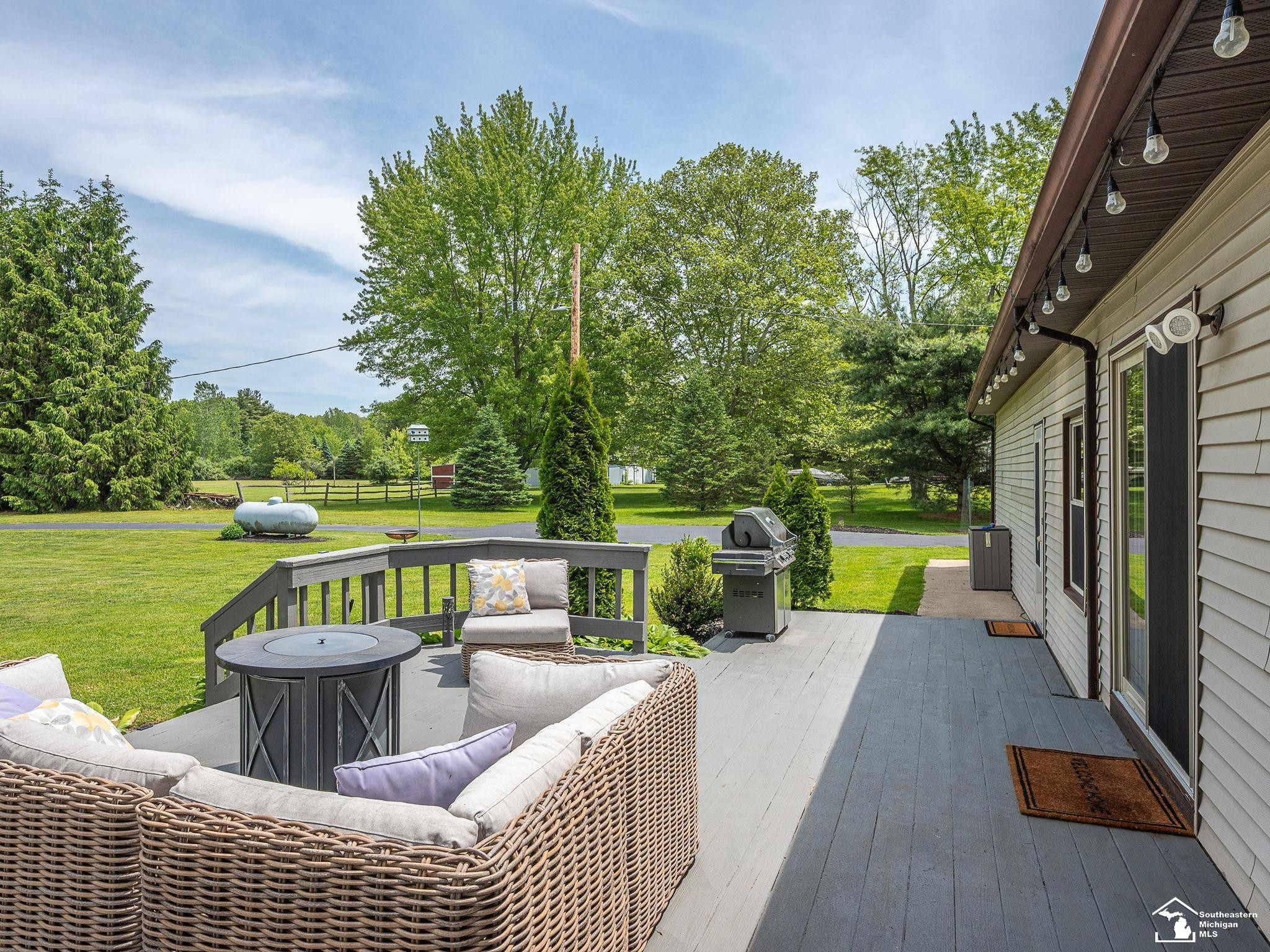14060 Todd Road, Petersburg, MI 49270 — Photo 12