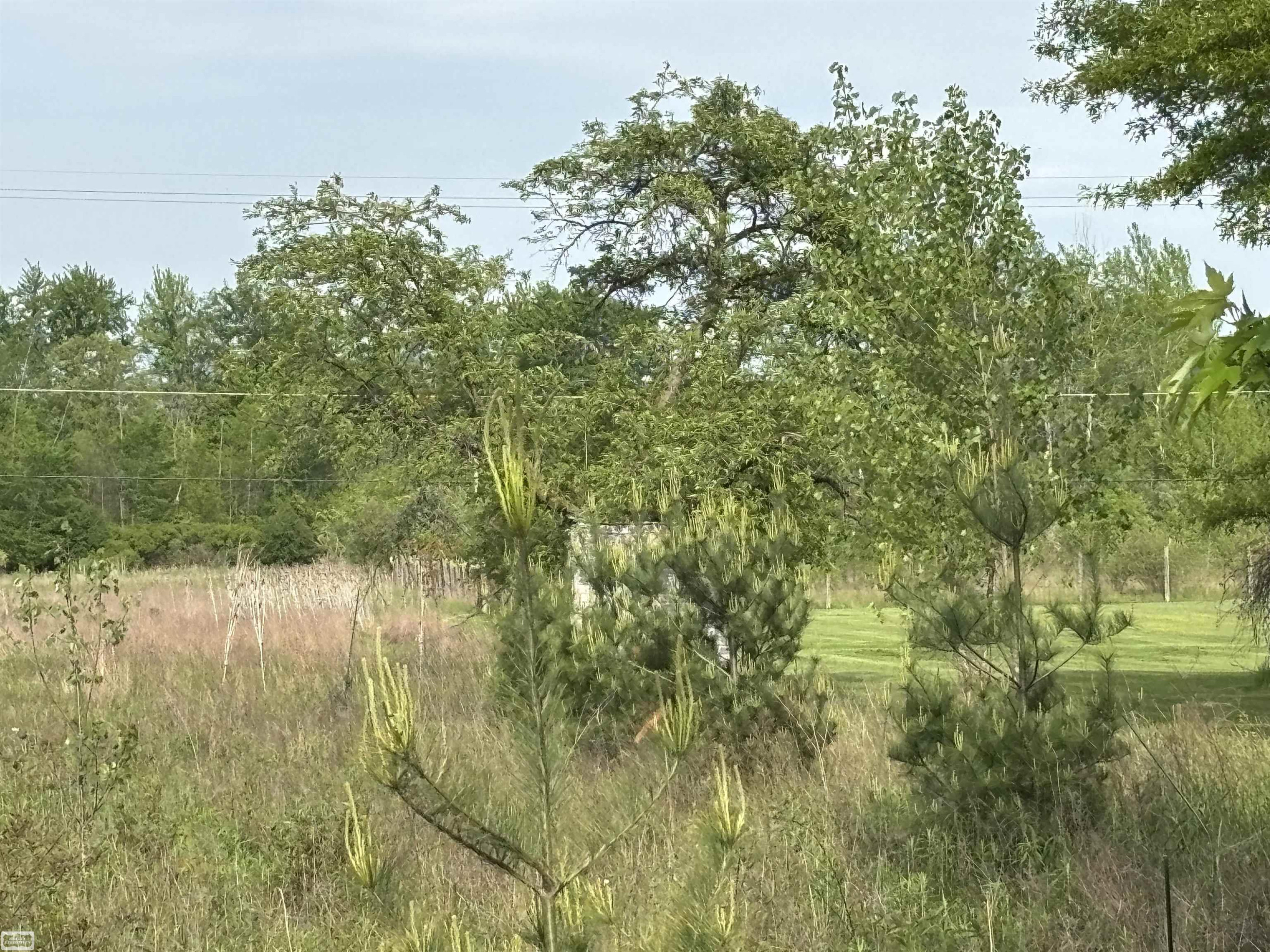 Richman Road, Kimball, MI — Photo 4