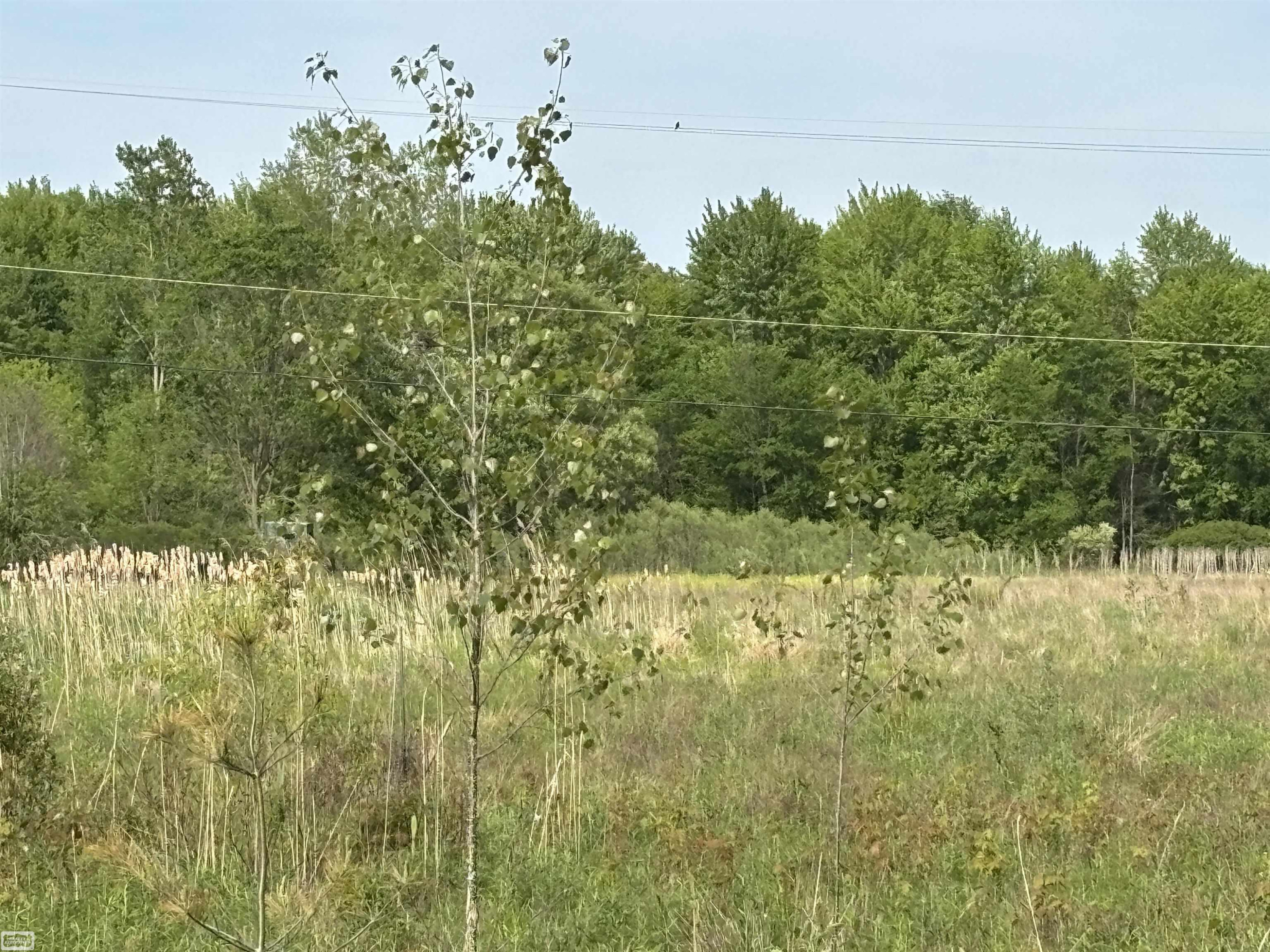 Richman Road, Kimball, MI — Photo 5