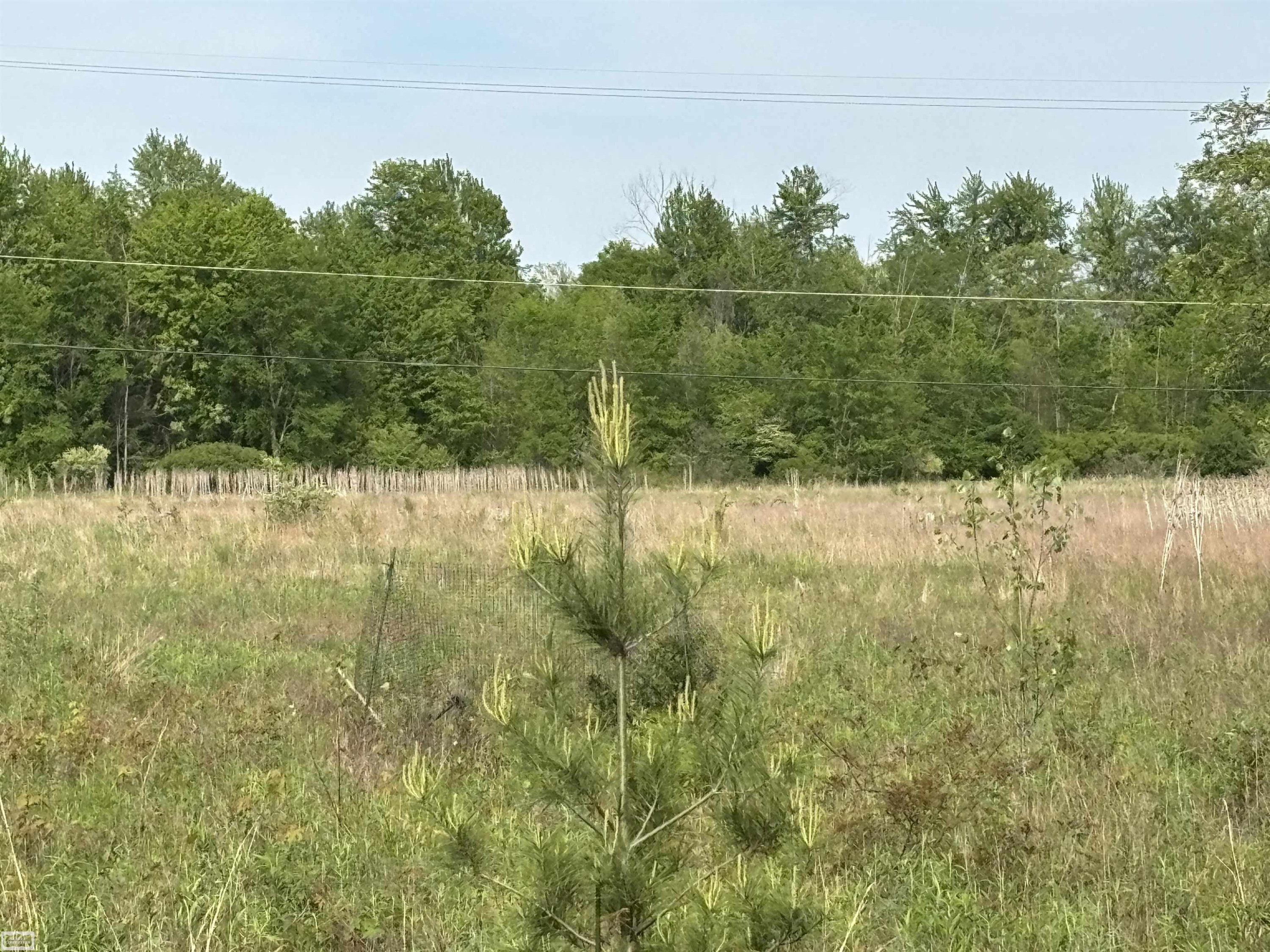 Richman Road, Kimball, MI — Photo 7