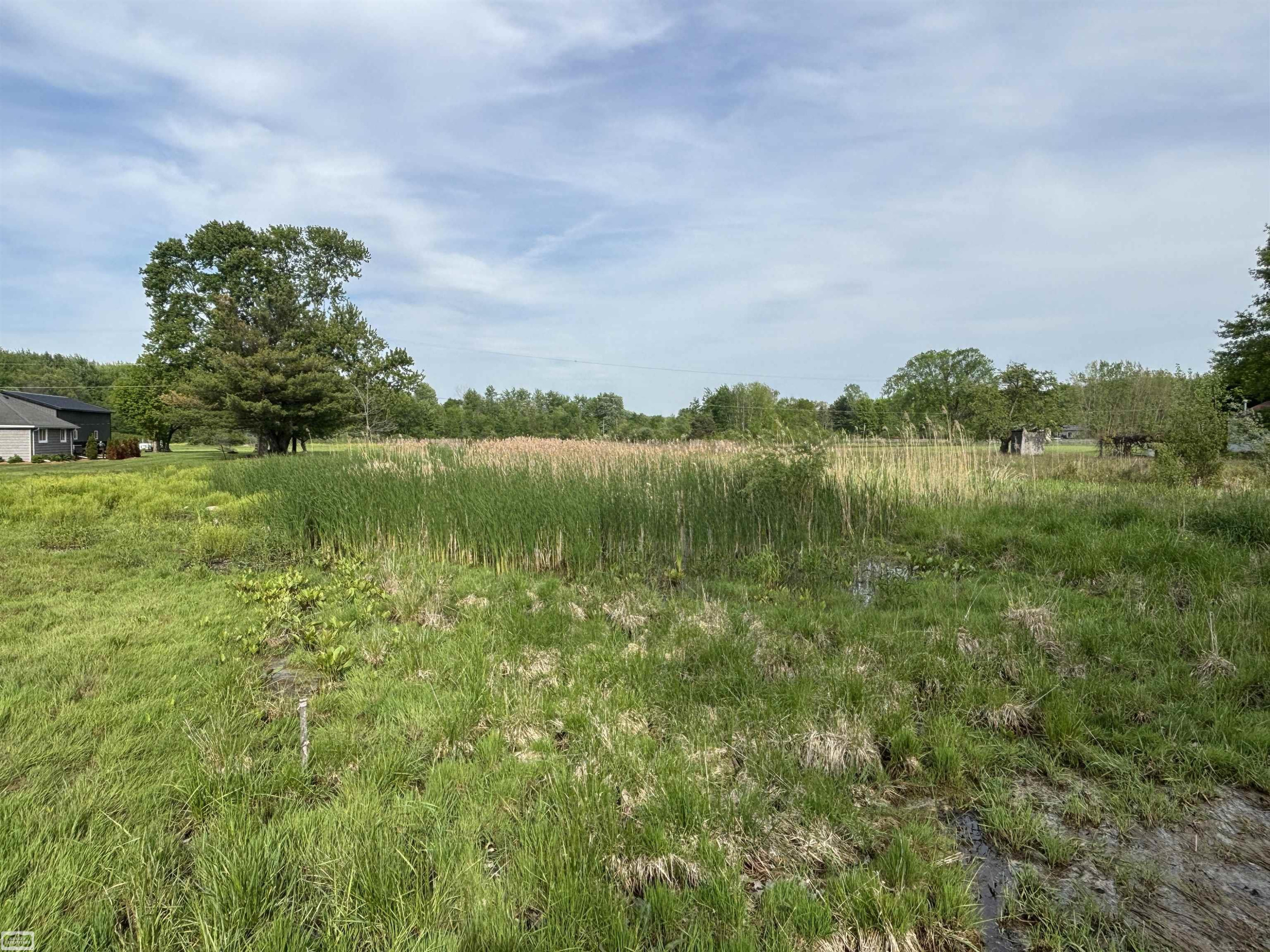 Richman Road, Kimball, MI — Photo 9