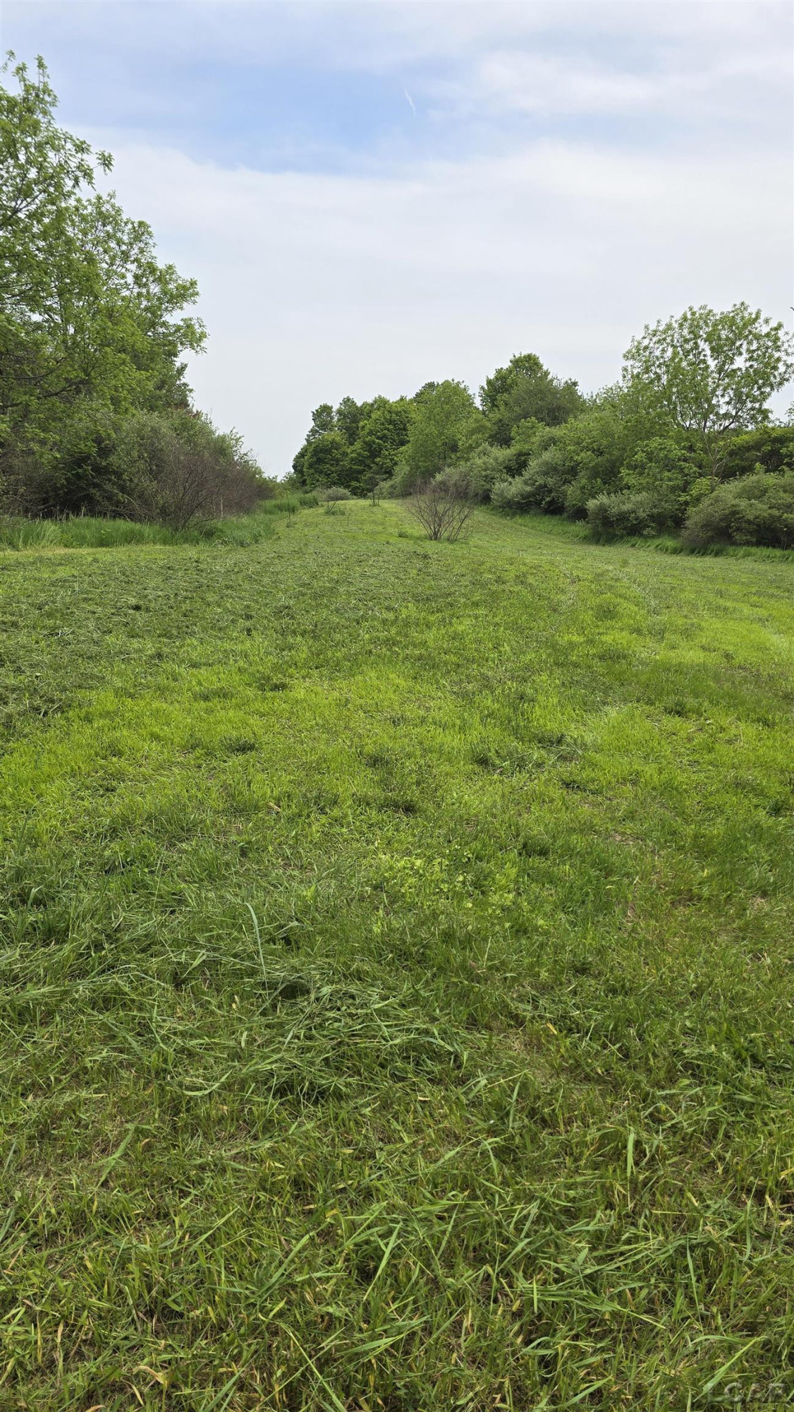 12000 BLK BURTON Road, Manitou Beach, MI 49253 — Photo 9