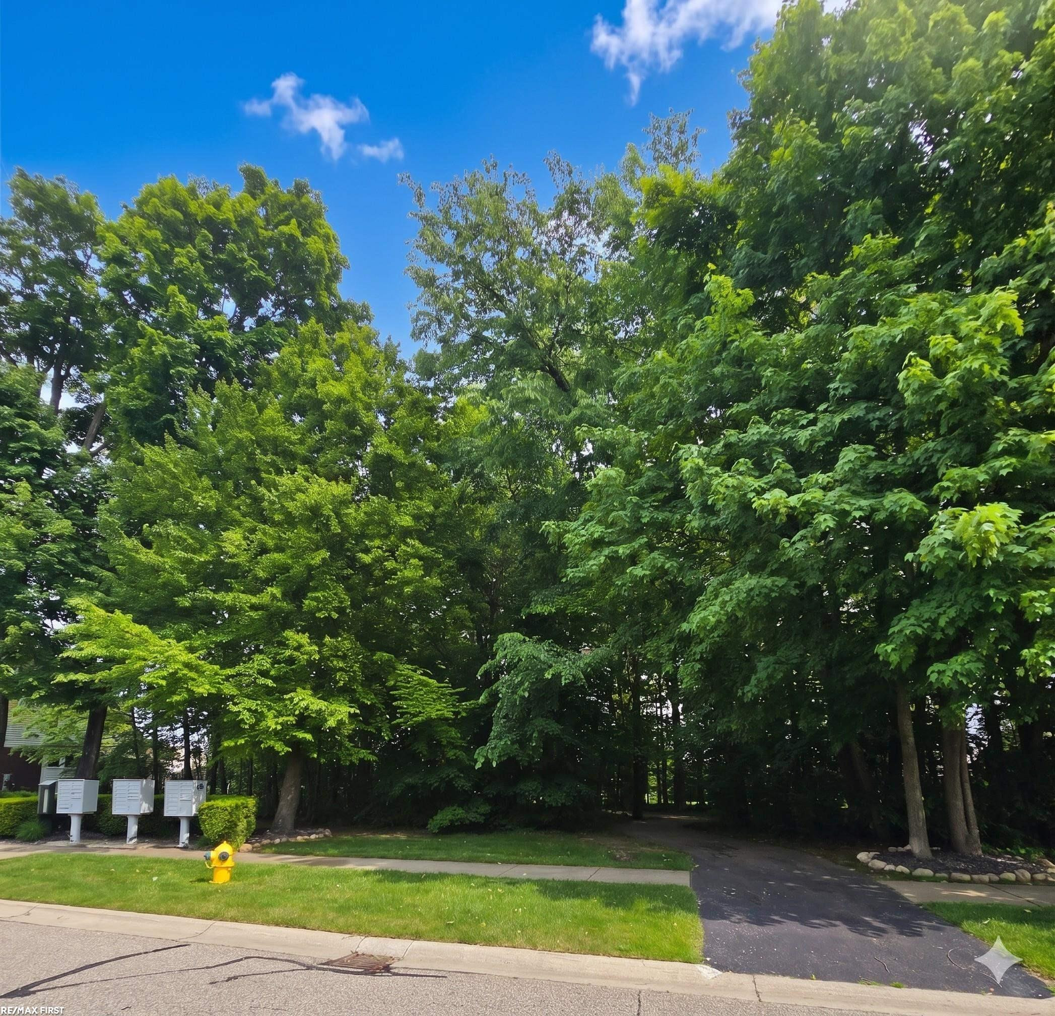 59746 Beechwood Drive, Washington, MI — Photo 34