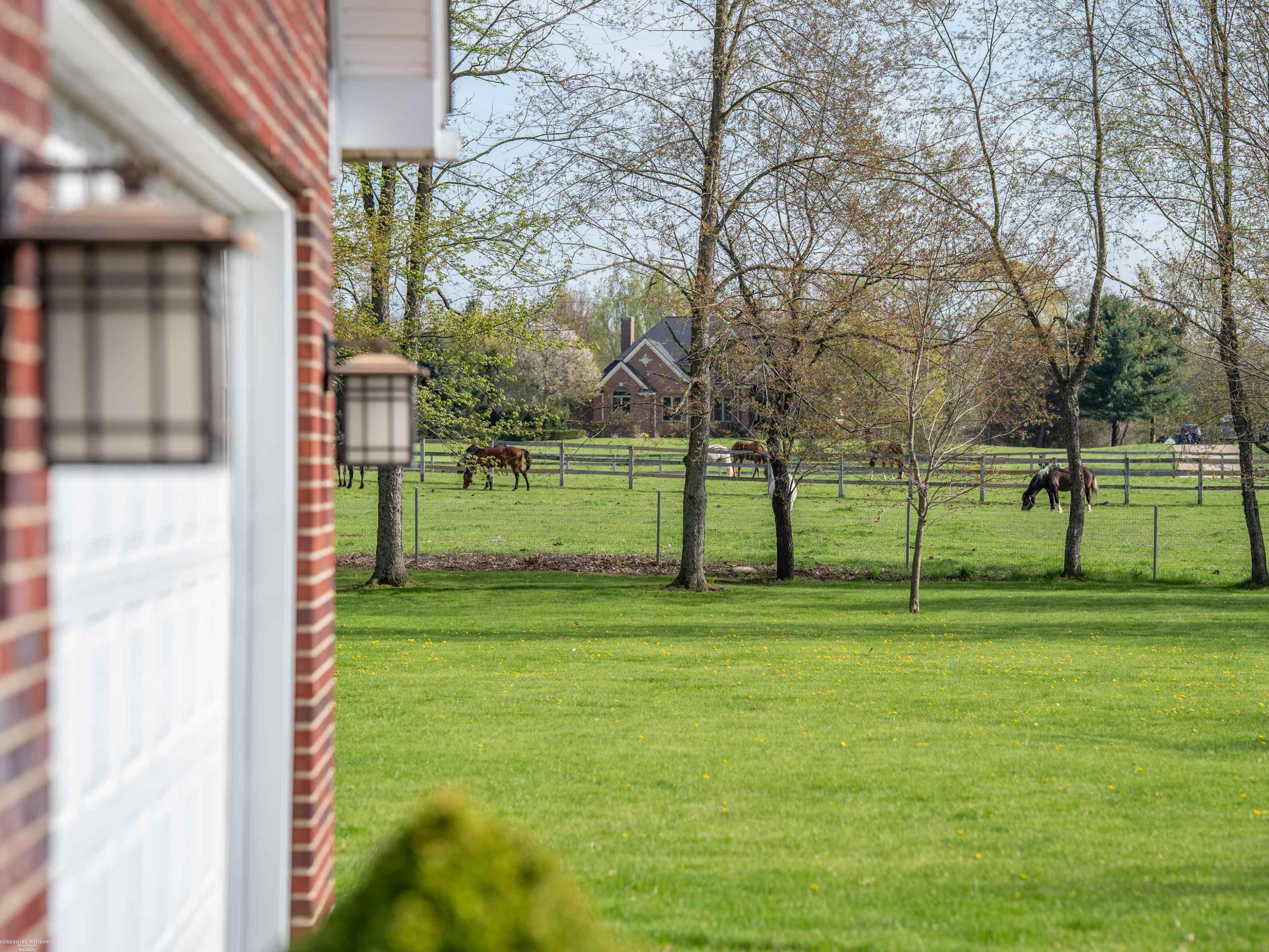202 Donna Mae Drive, Leonard, MI 48367 — Photo 52