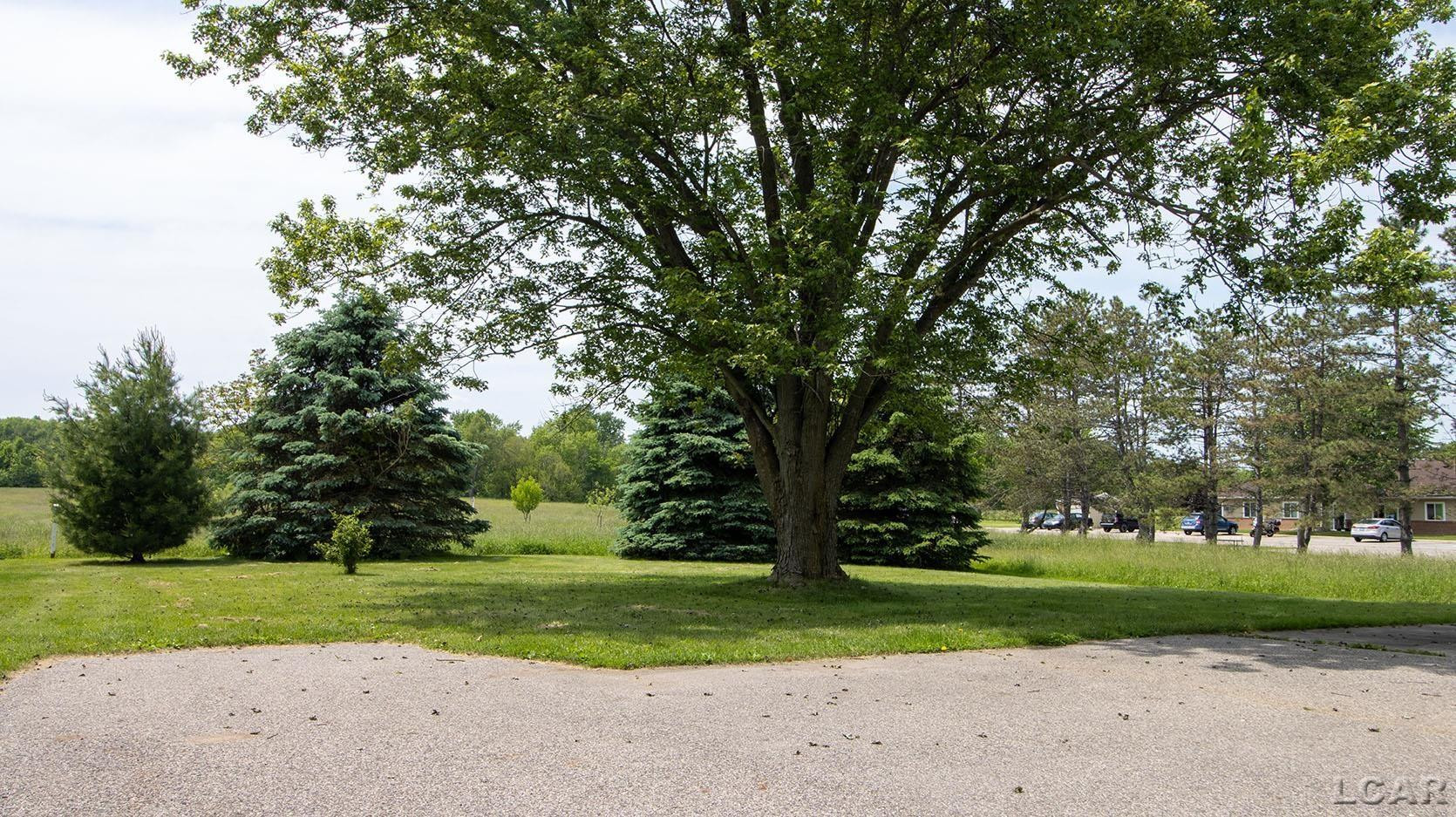 342 N Main Street, Onsted, MI 49265 — Photo 6